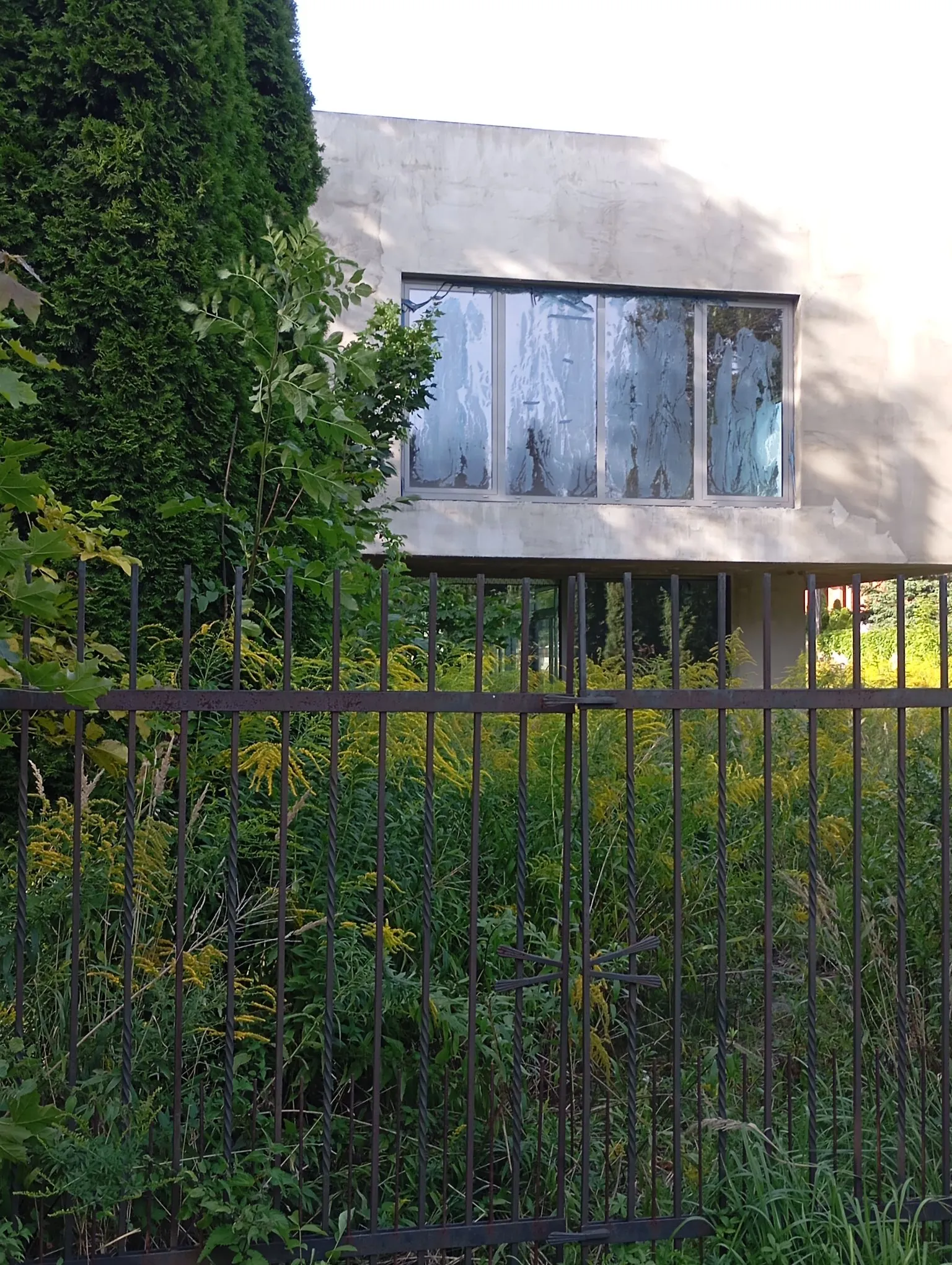 Nowoczesny, betonowy budynek z dużym, prostokątnym oknem podzielonym na cztery panele. Przed budynkiem znajduje się ciemny, metalowy płot z pionowymi prętami, za którym rośnie gęsta, dzika roślinność i wysokie trawy. Po lewej stronie zdjęcia widoczny jest wysoki, zielony żywopłot z tuj.