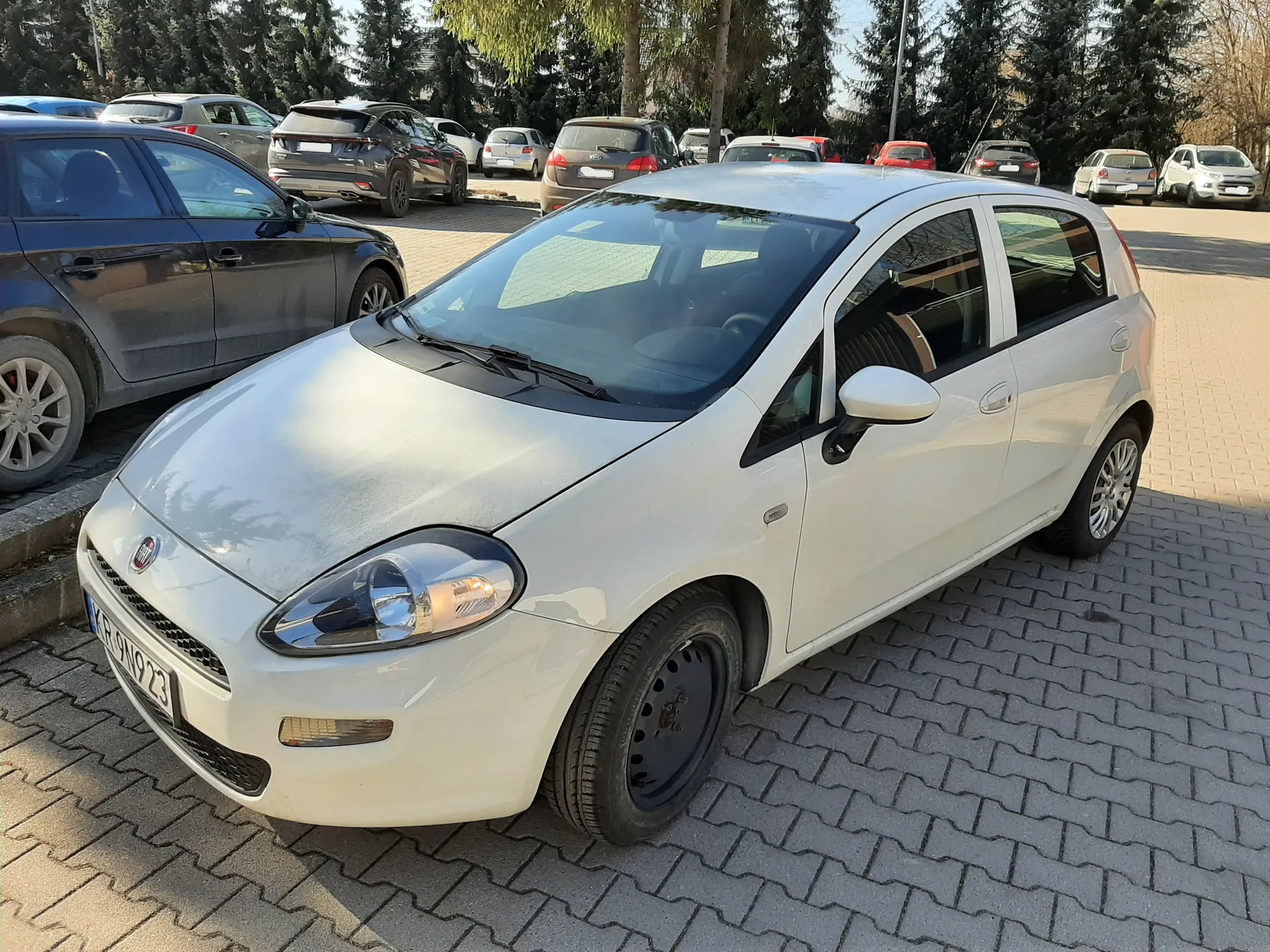 Biały samochód marki Fiat z tablicą rejestracyjną KR 9N923 zaparkowany na brukowanym placu parkingowym. W tle widoczne są inne pojazdy, drzewa oraz budynki. Samochód ma czarne felgi na przednim kole, a na przedniej szybie odbijają się elementy otoczenia. Tablica rejestracyjna i tekst na niej są czytelne, a horyzont jest poziomy.