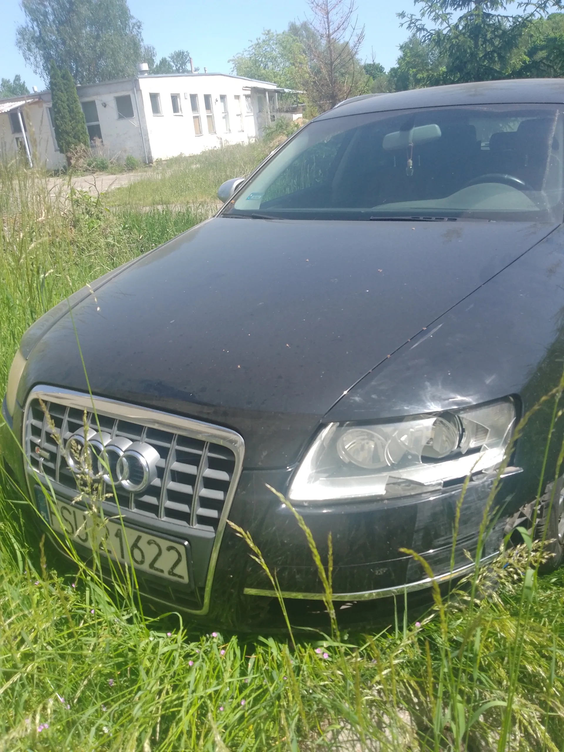 Czarny samochód marki Audi zaparkowany na wysokiej trawie. Widoczna tablica rejestracyjna SU 21622. W tle biały budynek z oknami, drzewa i jasne niebo. Trawa jest wysoka z fioletowymi kwiatkami.