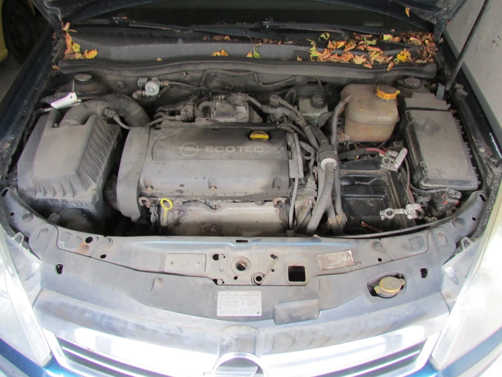 Widok z góry na otwartą maskę samochodu, ukazującą silnik z napisem 'ECOTEC'. W komorze silnika widoczne są różne komponenty mechaniczne, przewody, akumulator oraz zbiornik z płynem. Na podszybiu samochodu leżą jesienne, żółte i brązowe liście.