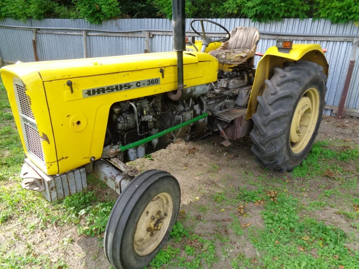 Żółty traktor marki Ursus C-360 zaparkowany na trawiastym podłożu na tle szarego ogrodzenia i zielonych krzewów. Widoczny jest napis 'URSUS C-360' na masce. Traktor posiada duże tylne koła z bieżnikiem oraz mniejsze przednie koła, czarną kierownicę i beżowe siedzenie kierowcy.