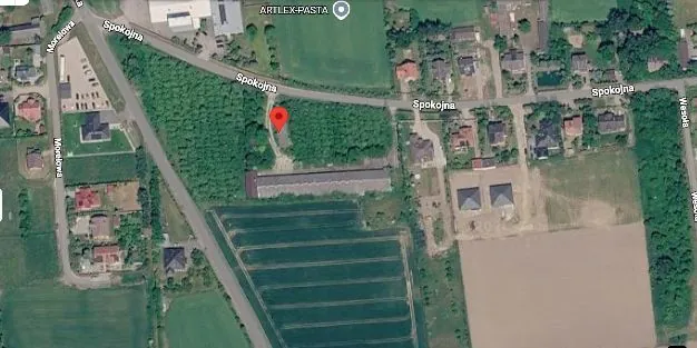 Zdjęcie satelitarne terenu z zabudowaniami i obszarami zielonymi. Widoczna jest droga o nazwie Spokojna oraz Morelowa. Na obrazie znajduje się czerwony znacznik lokalizacji wskazujący na obszar zalesiony obok budynku gospodarczego. Poniżej znajduje się pole uprawne z wyraźnymi pasami. W górnej części widnieje napis ARTLEX-PASTA.