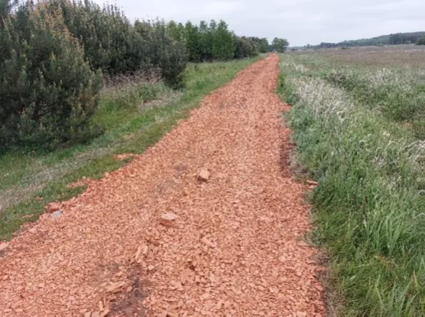 Długa, wąska ścieżka wysypana z drobnych, czerwonawych odłamków cegieł lub kruszywa, prowadząca w głąb krajobrazu. Po lewej stronie ścieżki znajdują się gęste, zielone krzewy, a po prawej trawiasta łąka z białymi kwiatami. W tle widoczny jest pas drzew i lekko pofałdowany teren pod zachmurzonym niebem.