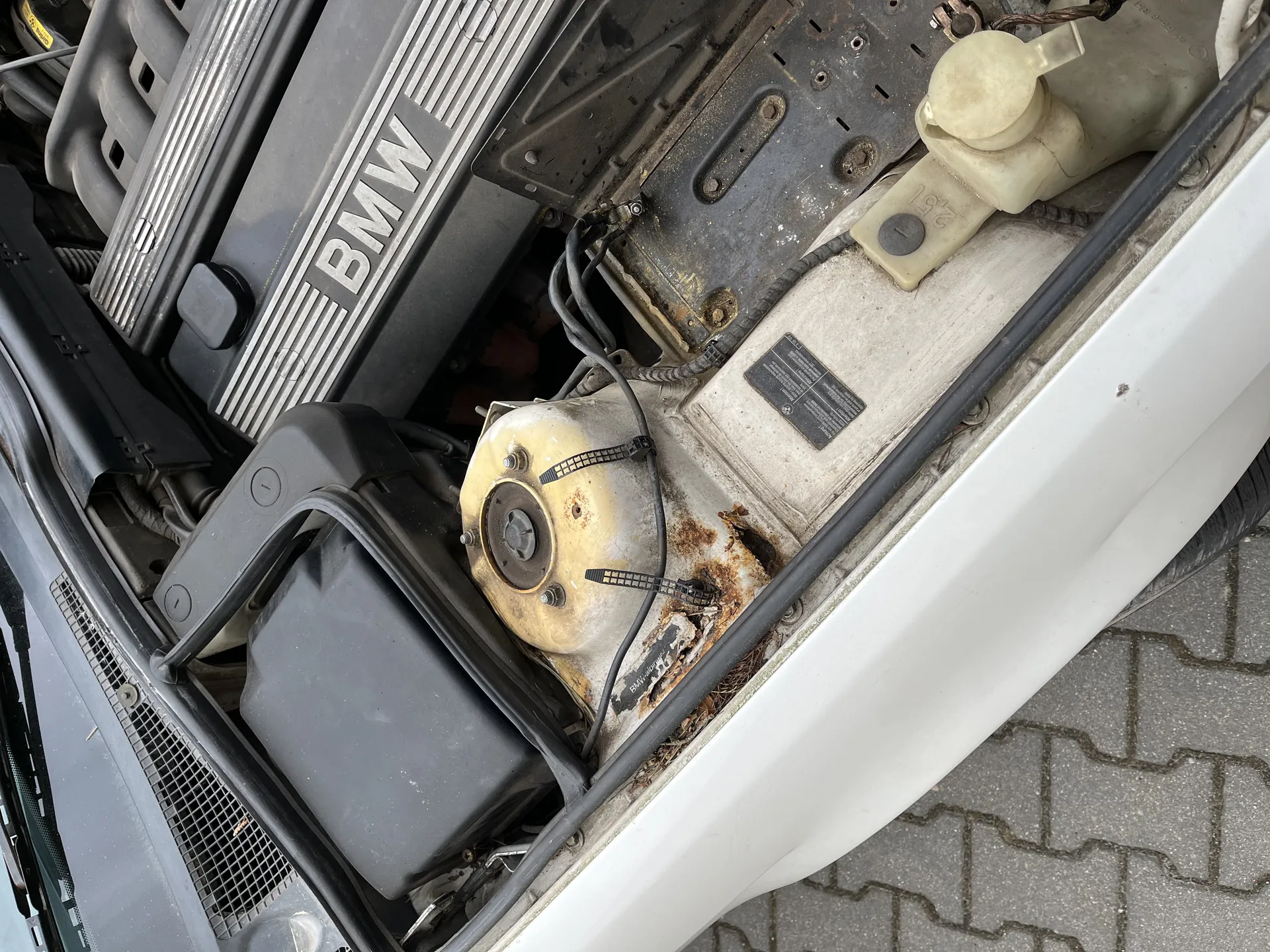 Widok na komorę silnika samochodu marki BMW. Widoczny czarny pokryw silnika z białym napisem 'BMW', żółtawy element z rdzą, biały zbiornik oraz otwarty kapot. W tle fragment chodnika z kostki brukowej.