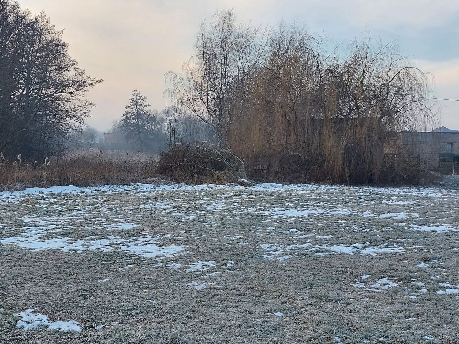 Zimowy krajobraz przedstawiający pole pokryte szronem i cienką warstwą śniegu. W tle widoczne są bezlistne drzewa, w tym duża, zwisająca wierzba, oraz mgła spowijająca horyzont pod jasnym, zachmurzonym niebem.