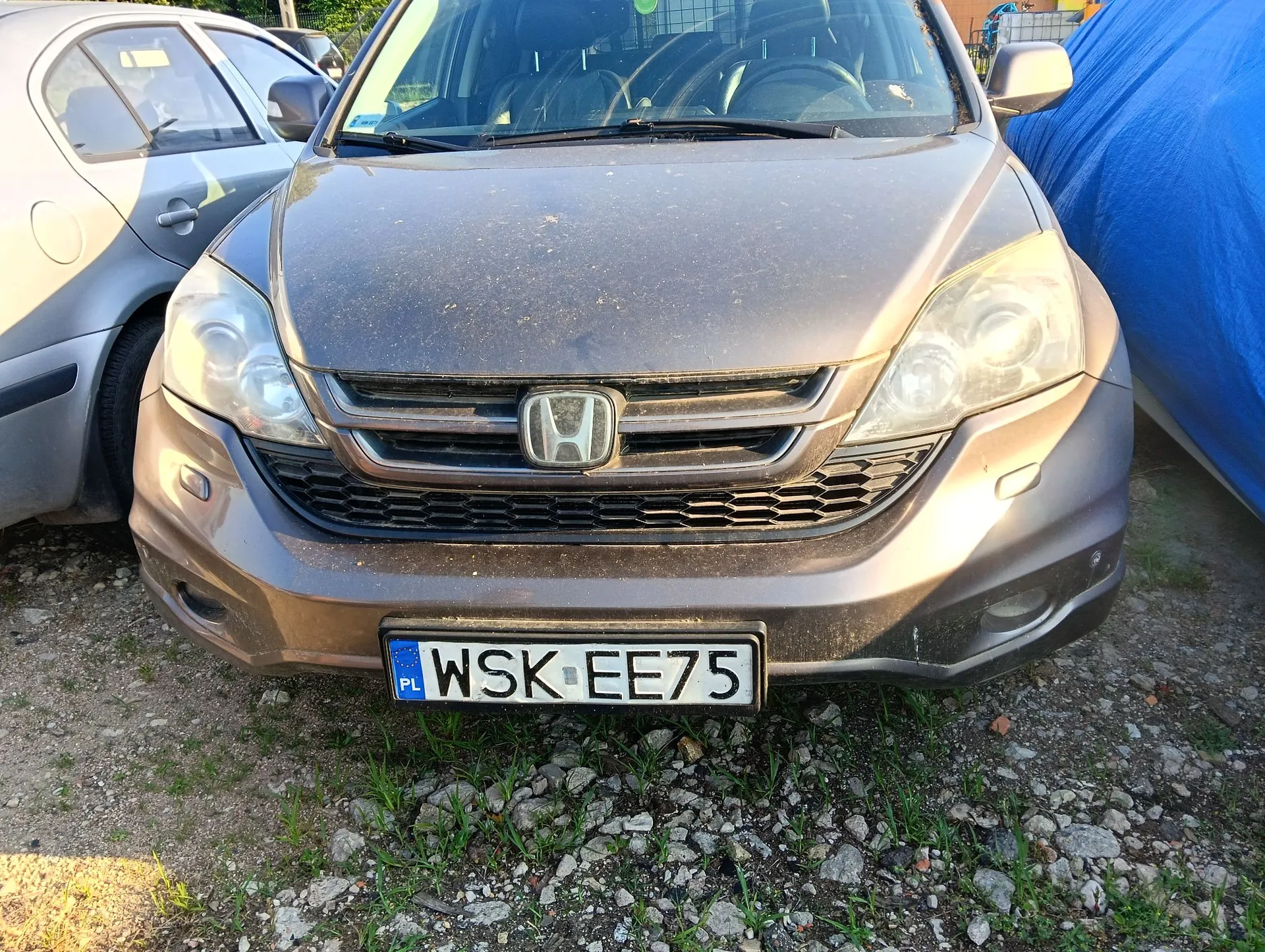 Zdjęcie przodu brudnego, brązowego samochodu marki Honda. Pojazd posiada tablicę rejestracyjną o treści WSK EE75 z oznaczeniem PL. Po lewej stronie widoczny jest fragment srebrnego samochodu, a po prawej niebieska plandeka.