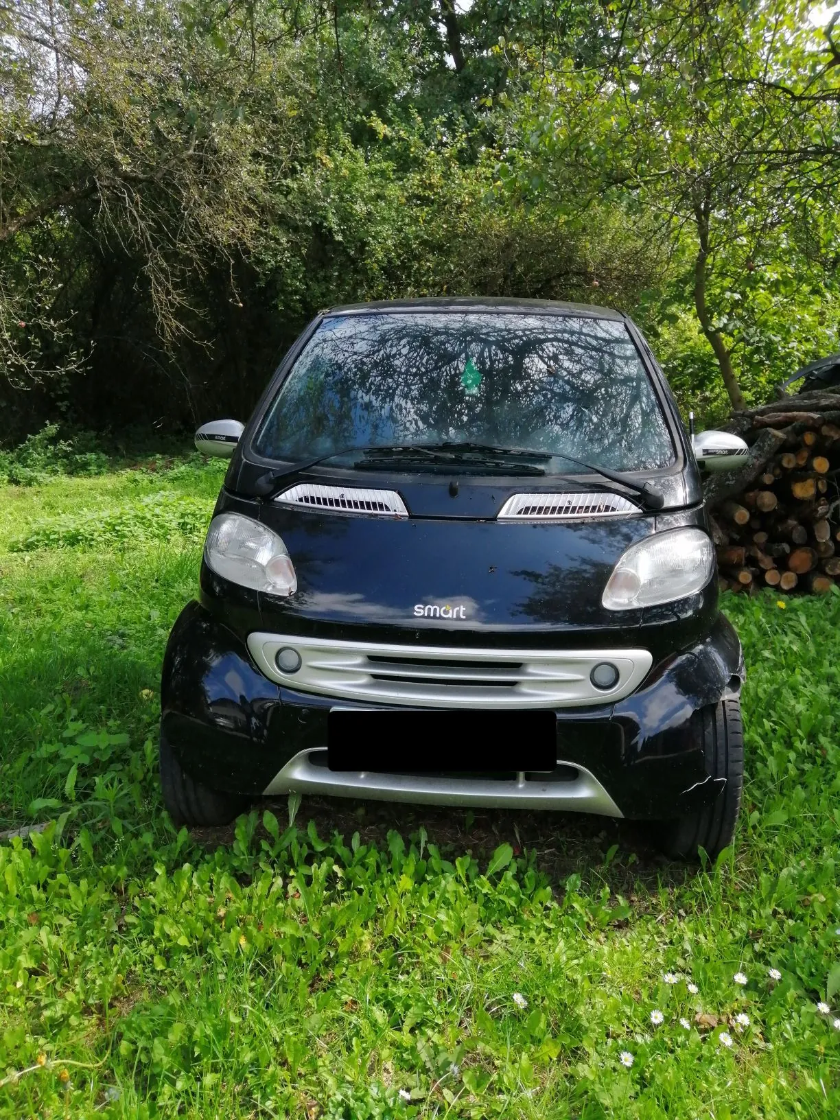 Czarny samochód marki Smart zaparkowany na zielonej trawie na tle gęstych, zielonych drzew i krzewów. Po prawej stronie widoczny jest stos ułożonych polan drewna. Na masce samochodu znajduje się napis 'smart'.