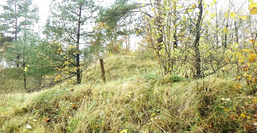 Nieruchomość zabudowana 3000 m² Pszczonów - zdjęcie 1