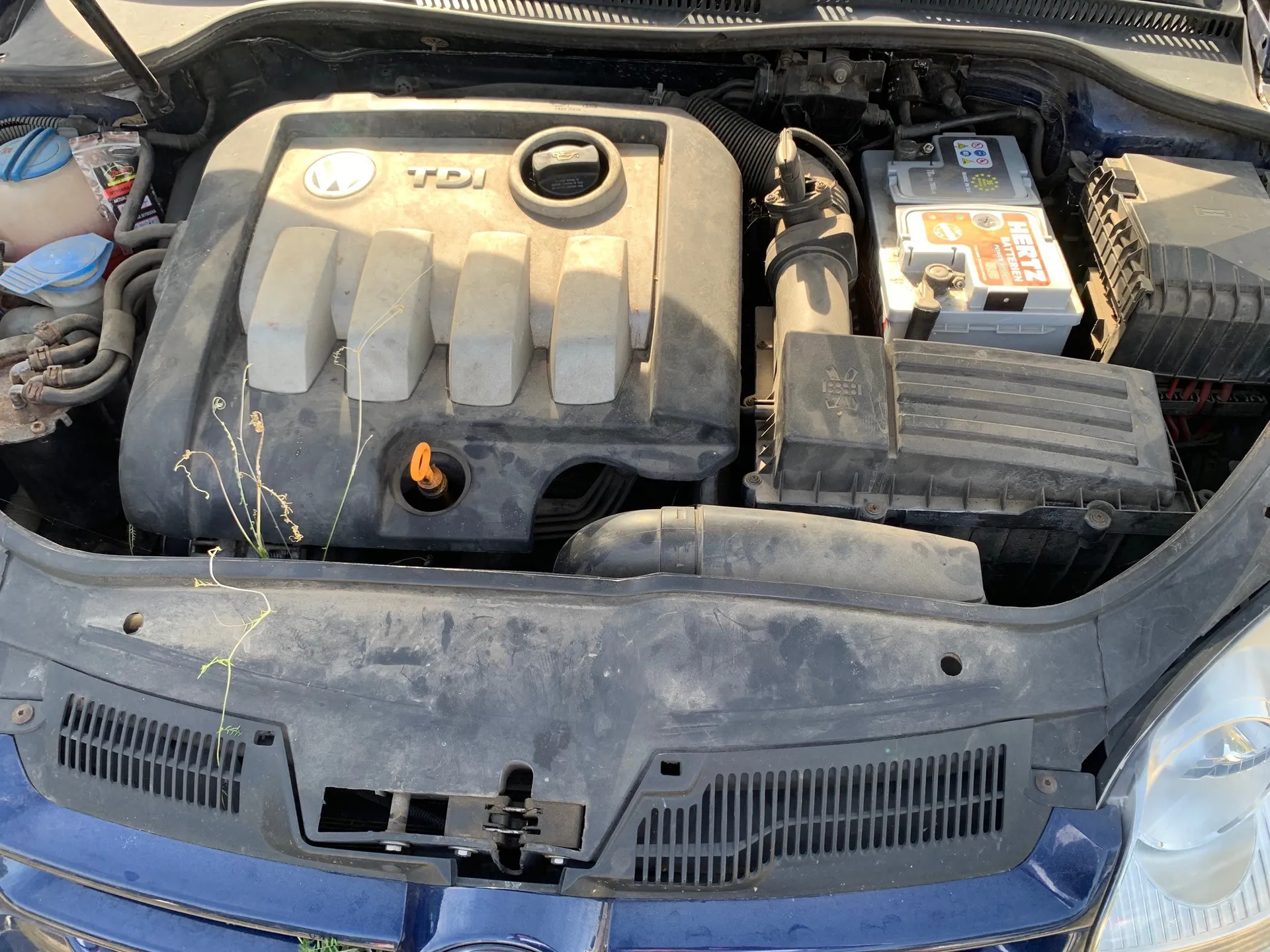 Widok z góry na komorę silnika w niebieskim samochodzie. Widoczna jest plastikowa osłona silnika z logo Volkswagena i napisem TDI, akumulator marki Varta, skrzynka bezpieczników oraz różne przewody i rury układu chłodzenia i dolotowego. Na osłonie silnika i w okolicach maski widoczne są drobne zanieczyszczenia i kilka źdźbeł trawy.