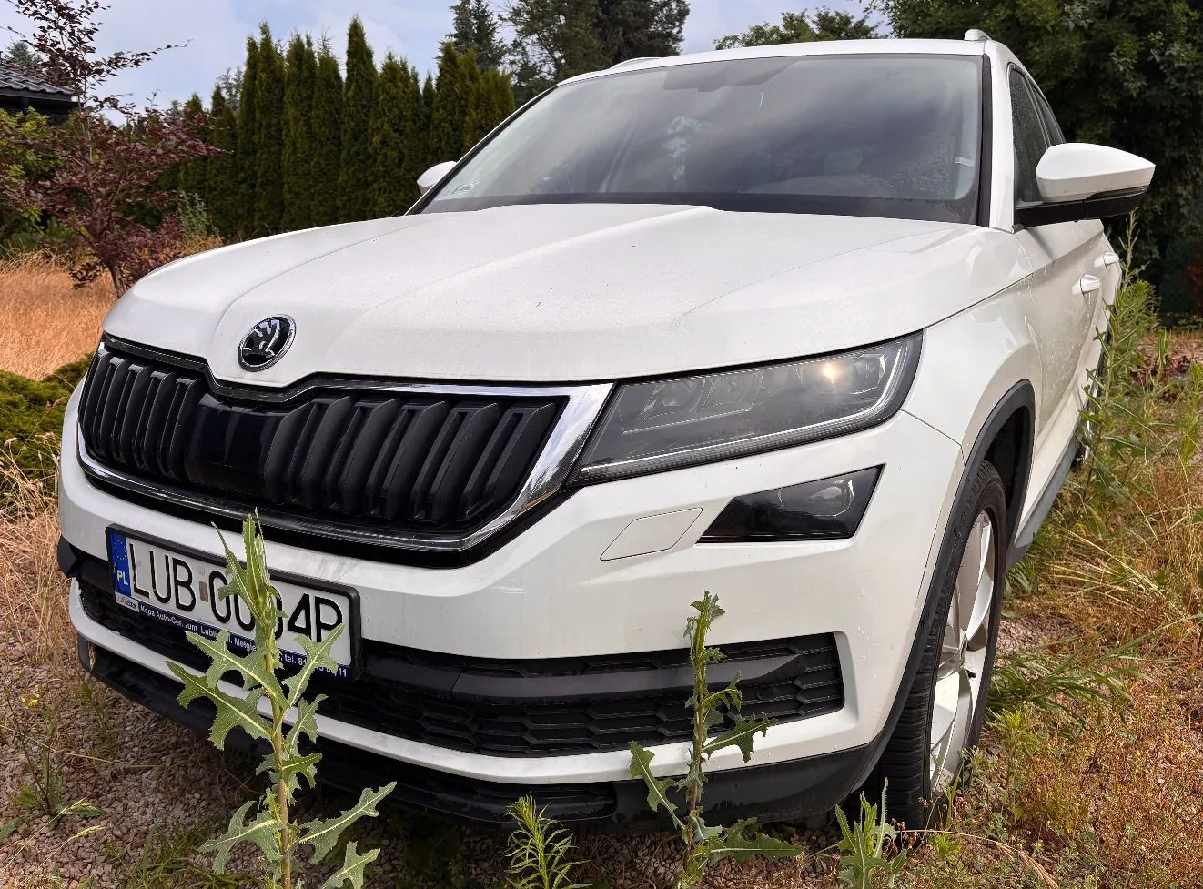 Biały samochód marki Skoda zaparkowany w wysokiej trawie i roślinności. Widoczny jest przód pojazdu z charakterystycznym grillem, reflektorami oraz fragmentem tablicy rejestracyjnej. W tle znajdują się zielone drzewa i krzewy pod jasnym niebem.
