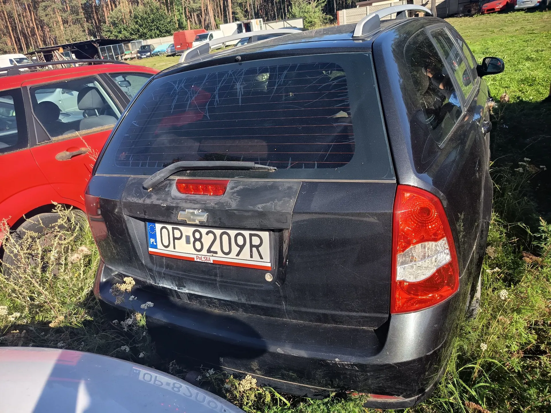 Tylny widok ciemnoszarego samochodu typu kombi zaparkowanego na trawie. Pojazd ma polską tablicę rejestracyjną o numerze OP 8209R. Obok stoi czerwony samochód. W tle widoczne są inne pojazdy oraz las sosnowy.