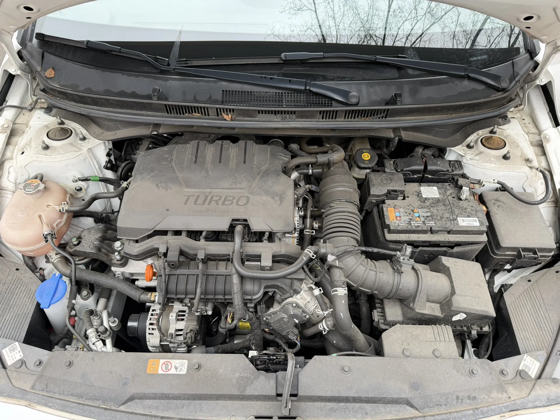 Otwarty kapota samochodu z widocznym silnikiem oznaczonym napisem TURBO. W silniku widoczne są różne elementy, takie jak zbiornik chłodniczy po lewej stronie, akumulator po prawej, przewody i rury. Na tle widać przednią szybę z wycieraczkami oraz drzewa bez liści.