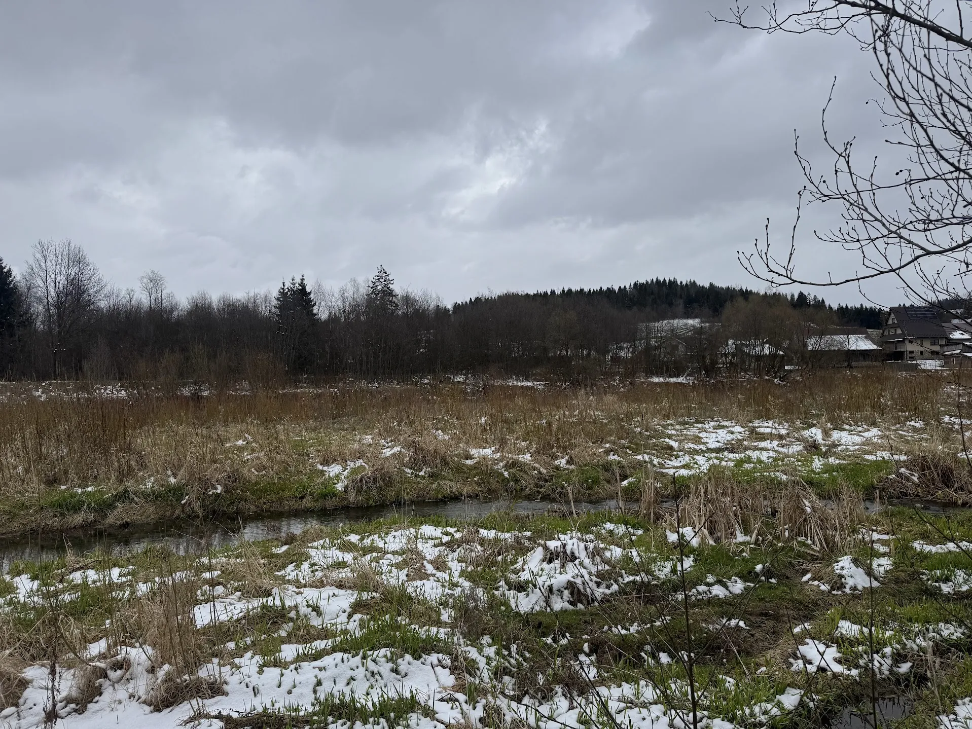 Pejzaż z rzeką przepływającą przez trawiaste pole z resztkami śniegu. W tle las z drzewami bez liści i iglastymi, domy oraz zalesiony wzgórze. Niebo zachmurzone. Po prawej stronie nagie gałęzie drzewa.