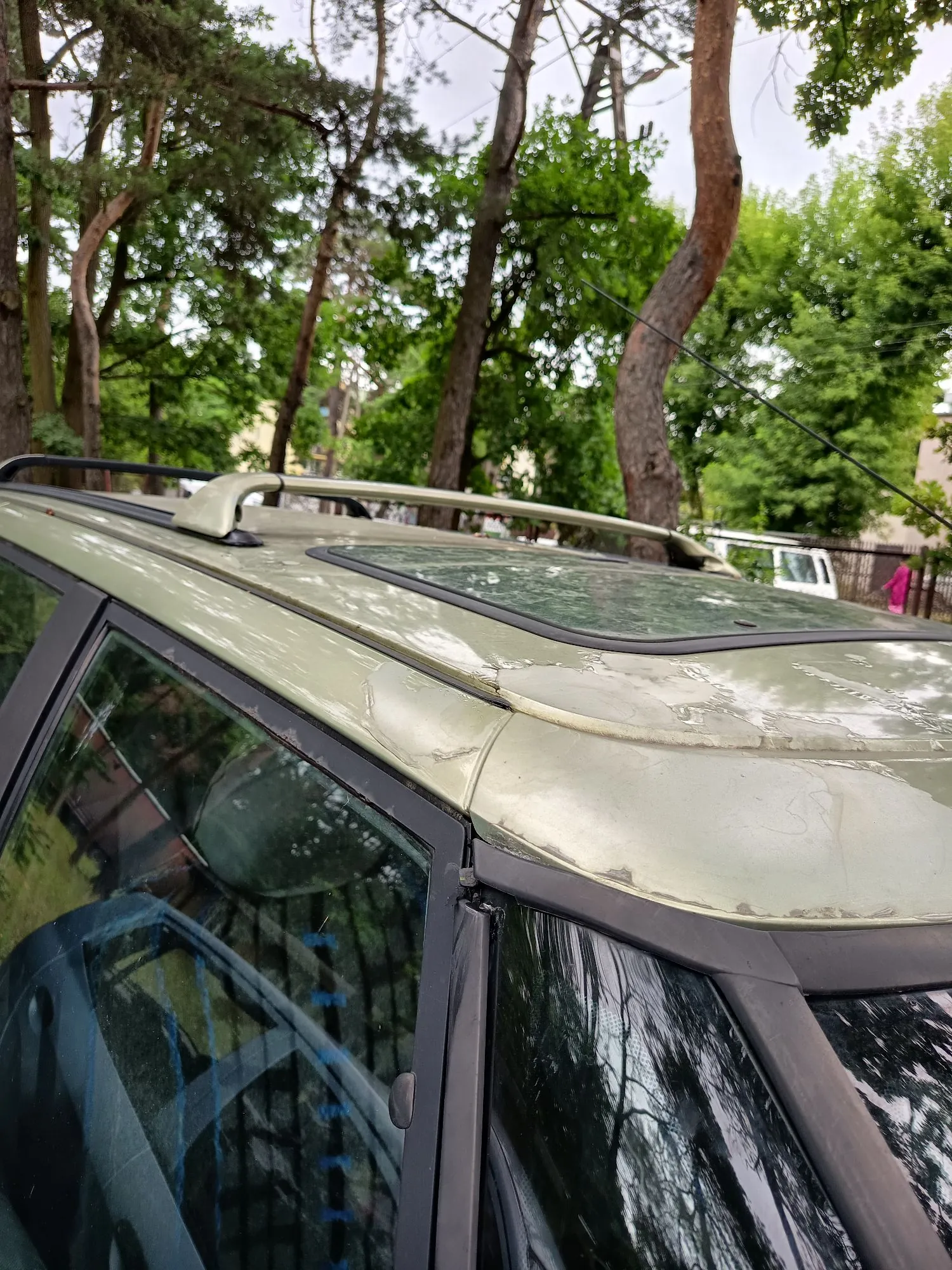 Zbliżenie na dach jasnozielonego samochodu z panoramicznym dachem i relingami. Lakier na krawędzi dachu, nad tylną szybą, jest wyraźnie uszkodzony, łuszczy się i posiada liczne pęknięcia. W tle widoczne są wysokie drzewa z zielonymi liśćmi oraz fragment białego pojazdu.