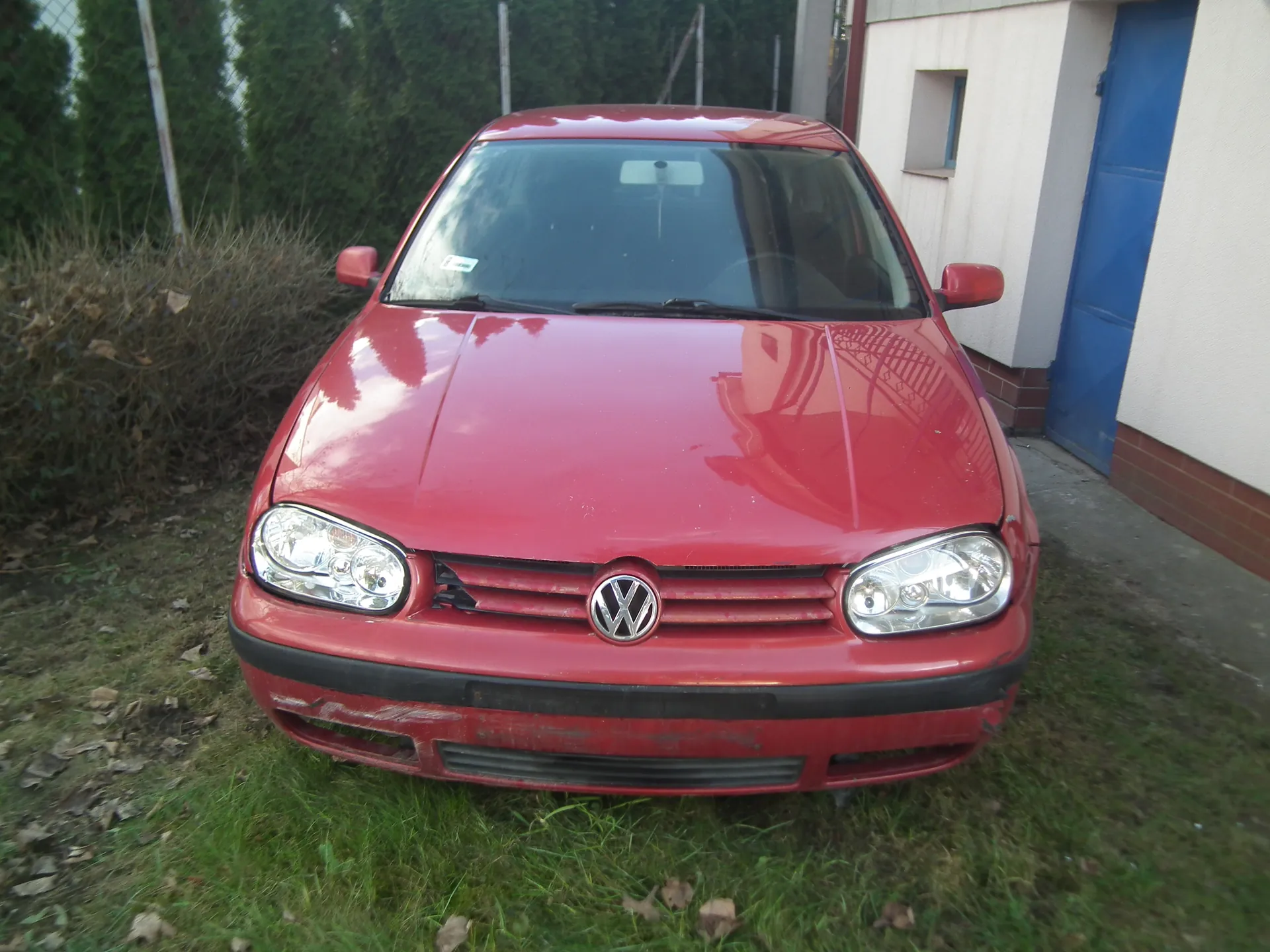 Czerwony samochód marki Volkswagen Golf zaparkowany na trawie. Widoczny przód pojazdu z logo VW na atrapie chłodnicy, reflektory oraz uszkodzony przedni zderzak. W tle budynek z niebieskimi drzwiami, krzewy i ogrodzenie z drzewami.