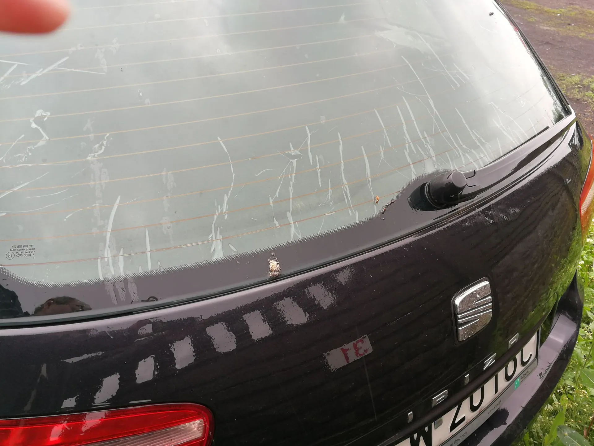 Zbliżenie na tylną szybę i klapę bagażnika ciemnofioletowego samochodu marki SEAT. Szyba jest porysowana i posiada widoczne linie ogrzewania. Na klapie bagażnika znajduje się srebrne logo SEAT oraz fragment tablicy rejestracyjnej z widocznym napisem „ZUTOL”.