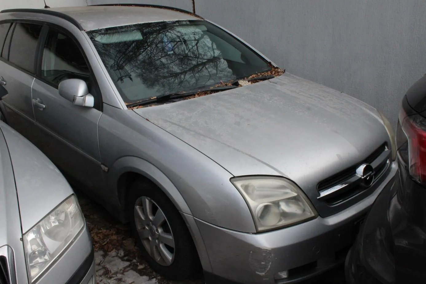 Srebrny samochód marki Opel zaparkowany między innymi pojazdami. Na masce i przedniej szybie widoczne są suche liście. Tło stanowi szara ściana. Samochód ma lekko zabrudzoną karoserię, a w odbiciu na szybie widać nagie drzewa. Po lewej stronie częściowo widoczny inny srebrny samochód, po prawej czarny pojazd.