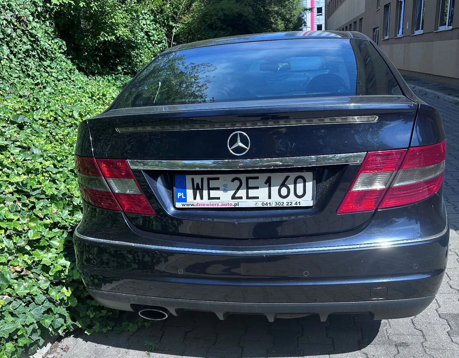 Tylny widok czarnego samochodu marki Mercedes-Benz zaparkowanego na kostce brukowej obok zielonej ściany z bluszczu. Na klapie bagażnika znajduje się logo Mercedesa oraz polska tablica rejestracyjna o numerze WE 2E160. Poniżej numeru rejestracyjnego widnieje napis 'www.dziewierz.auto.pl' oraz numer telefonu '041/ 302 22 41'.