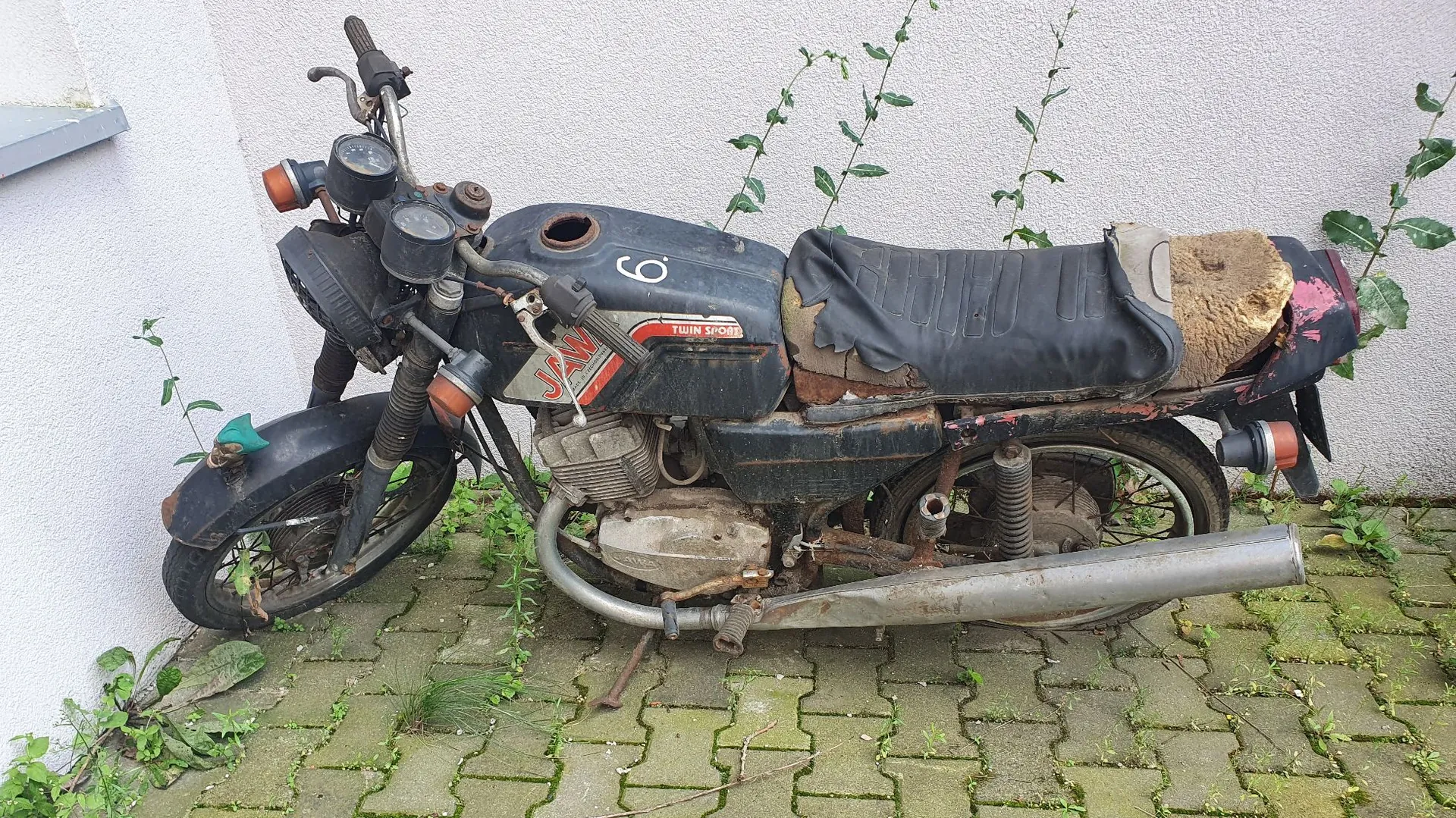 Stary, zniszczony motocykl marki Jawa, model Twin Sport, oparty o białą ścianę na kostce brukowej porośniętej trawą. Motocykl jest w złym stanie technicznym: brakuje korka wlewu paliwa w baku, siedzenie jest mocno potargane i dziurawe, a elementy metalowe są skorodowane. Widoczny jest napis 'JAWA' oraz 'TWIN SPORT' na baku.