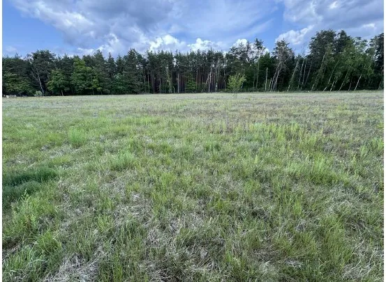 Szeroki widok na otwartą, trawiastą polanę z niską, zieloną roślinnością. W tle znajduje się gęsty pas lasu iglastego i liściastego pod jasnoniebieskim niebem z rozproszonymi białymi chmurami.