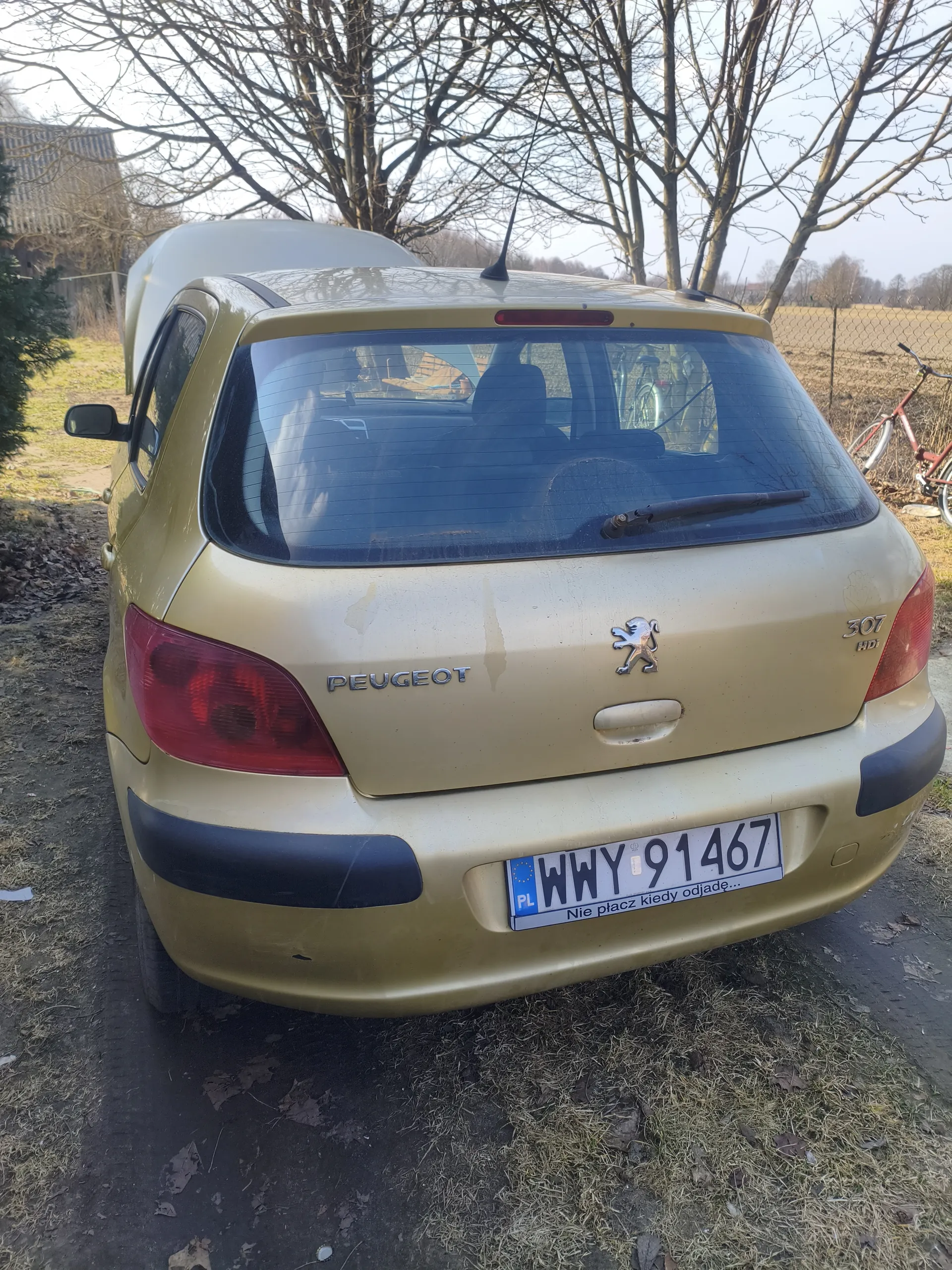 Złoty samochód Peugeot 307 HDi widziany od tyłu, z tablicą rejestracyjną WWY 91467 (PL) oraz naklejką z napisem „Nie płacz kiedy odjadę...”. Na tle suche drzewa, czerwony rower, siatka ogrodzeniowa i sucha trawa. Widoczne logo Peugeot oraz napis „307 HDi” na bagażniku. Samochód stoi na drodze z suchymi liśćmi i trawą.