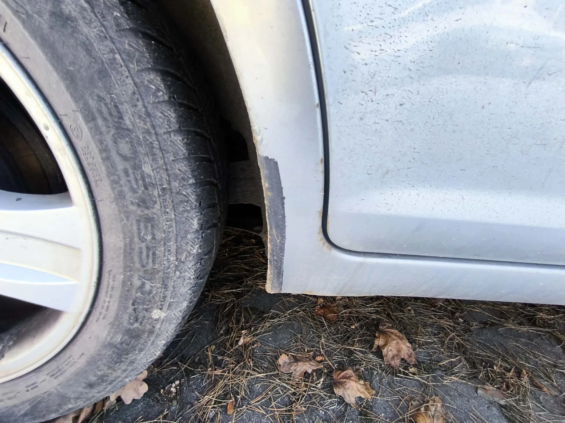 Zbliżenie na przednie koło samochodu z oponą i uszkodzonym błotnikiem. Opona pokryta brudem, na jej boku widoczne częściowe oznaczenia. Błotnik ma uszkodzoną powierzchnię z odsłoniętym materiałem pod spodem. Pod samochodem asfalt pokryty suchymi liśćmi i igłami sosnowymi.