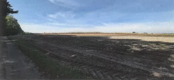 Krajobraz przedstawiający rozległe pole z ciemną, zaoraną ziemią na pierwszym planie i pasem jaśniejszej roślinności w oddali. Po lewej stronie widoczna jest nieutwardzona droga oraz linia drzew. Nad polem rozciąga się jasnoniebieskie niebo z delikatnymi, białymi chmurami.