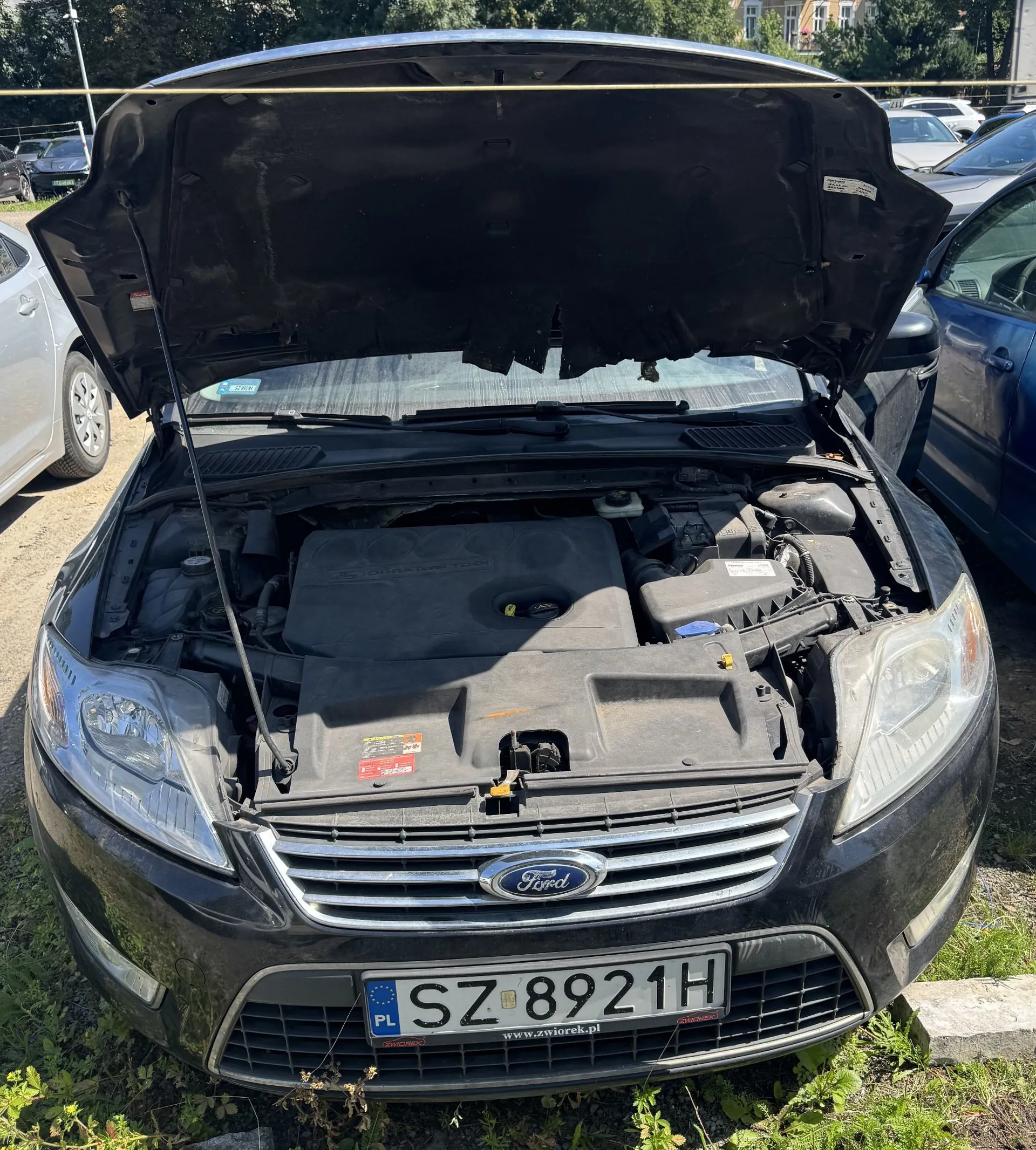 Czarny samochód marki Ford z otwartą maską silnika. Widoczny jest przedni grill z logo Ford oraz tablica rejestracyjna o numerze SZ 8921H. Wewnątrz komory silnika znajduje się plastikowa osłona silnika. Samochód zaparkowany jest na zewnątrz, w tle widoczne są inne pojazdy i zieleń.
