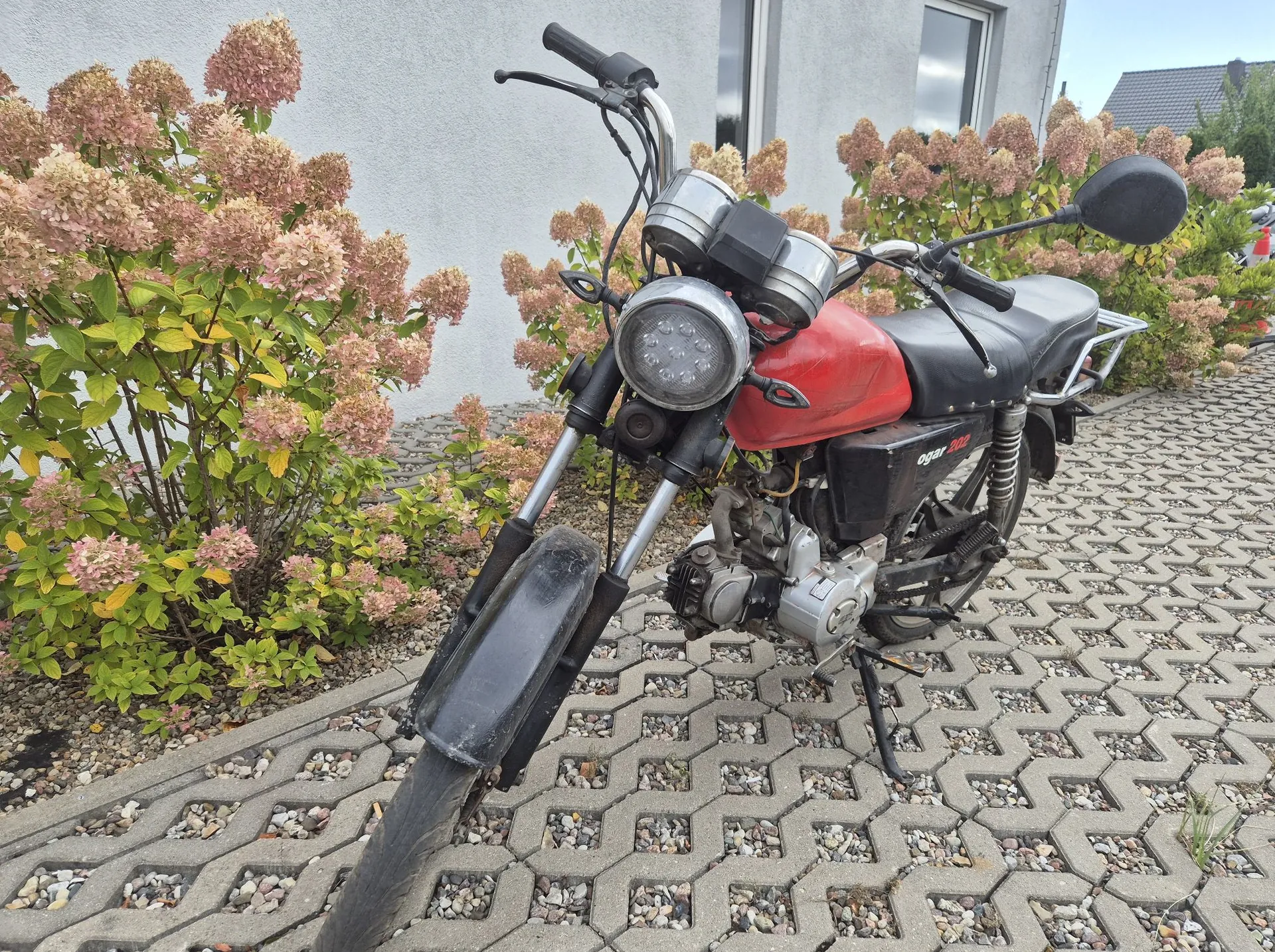Czerwono-czarny motocykl zaparkowany na kostce brukowej. Pojazd stoi pod kątem, skierowany przodem w stronę lewego dolnego rogu zdjęcia. W tle widoczny jest biały budynek oraz krzewy z różowymi kwiatami hortensji.
