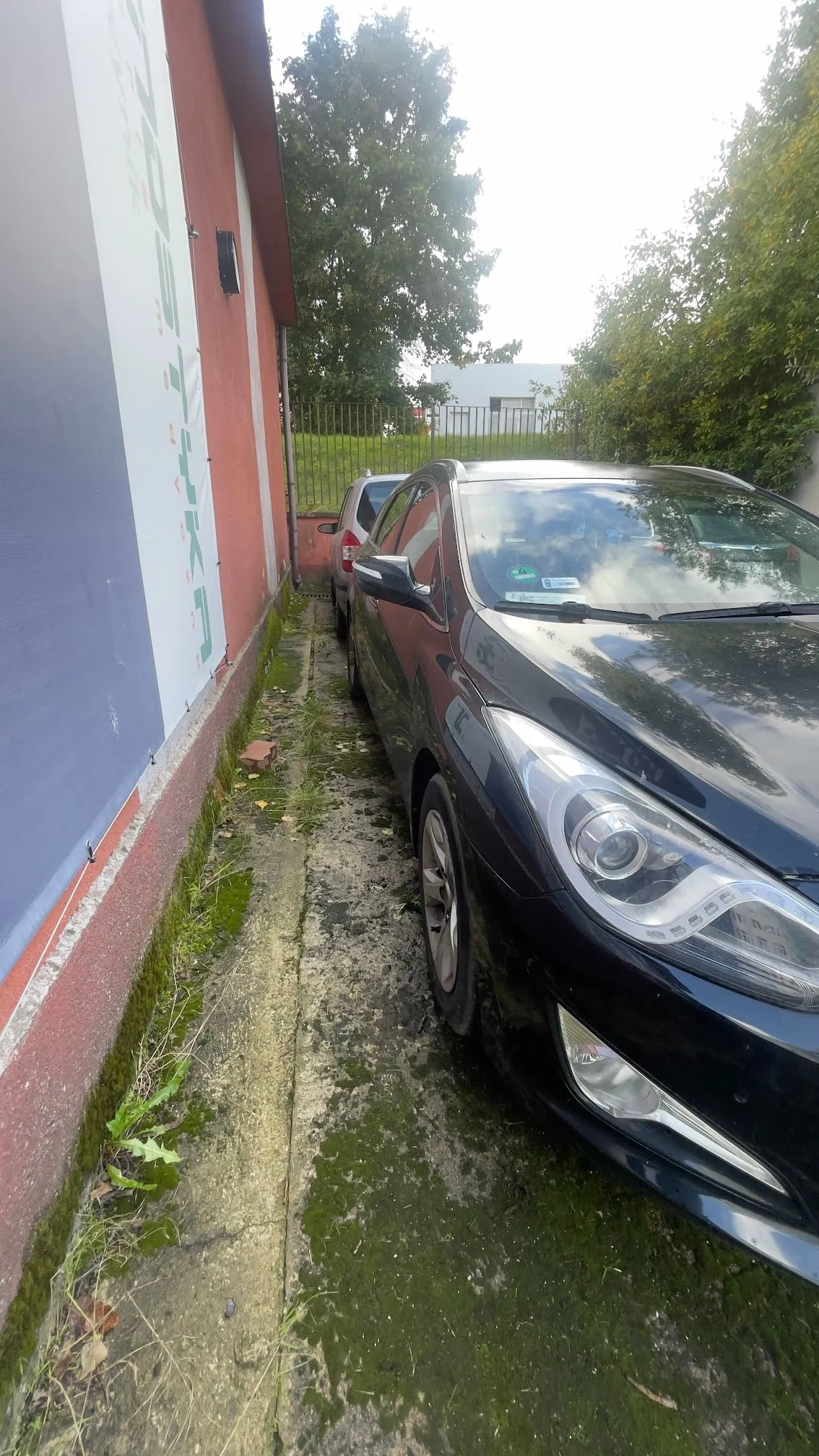 Czarny samochód osobowy zaparkowany na wąskim, zarośniętym mchem pasie betonu obok czerwonej ściany budynku. W tle widoczny jest kolejny, czerwony samochód oraz zielone drzewa pod jasnym niebem.
