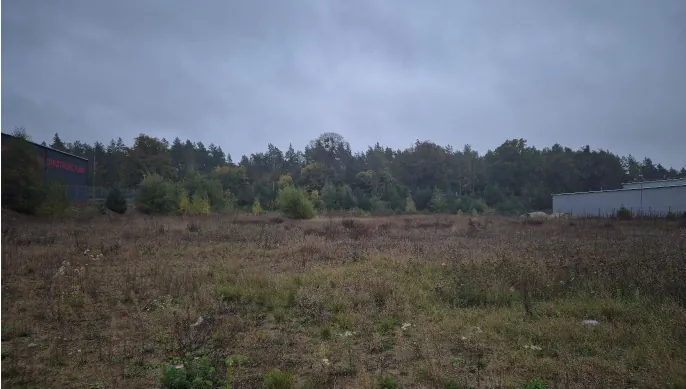 Krajobraz przedstawiający nieużytki z suchą, brązową trawą i niską roślinnością na pierwszym planie. W tle znajduje się pas gęstego, jesiennego lasu pod zachmurzonym, szarym niebem. Po lewej stronie widoczny jest fragment ciemnego budynku z czerwonym napisem, z którego czytelne jest słowo „STRUKTURA”. Po prawej stronie znajduje się jasnoszary, przemysłowy budynek o płaskim dachu.
