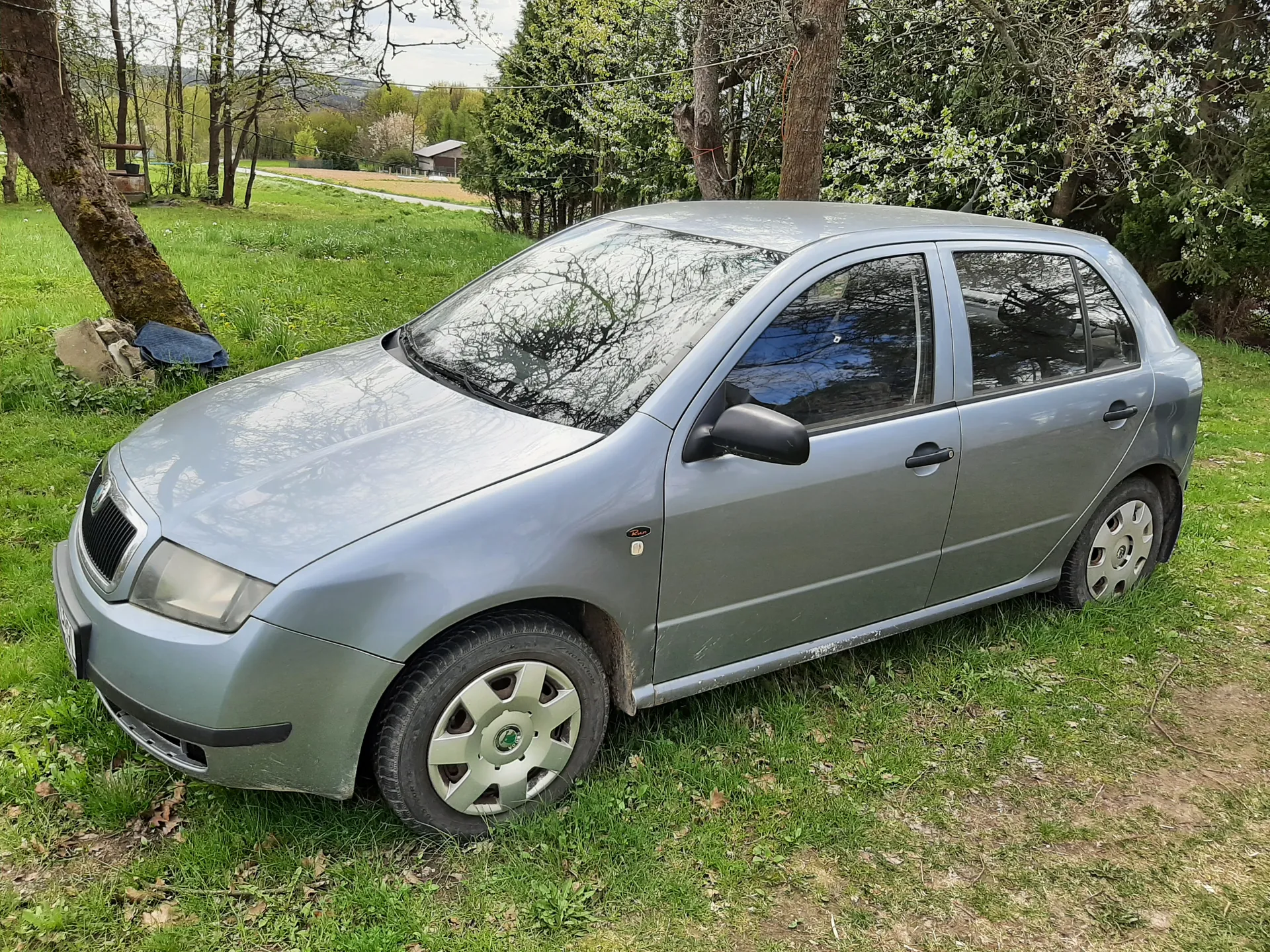 Srebrny samochód osobowy typu hatchback zaparkowany na trawie. W tle drzewa, zielona łąka, dom i częściowo zachmurzone niebo. Samochód ma czarne lusterka boczne oraz felgi z logo w środku. Na przednim błotniku widoczny jest emblemat marki.