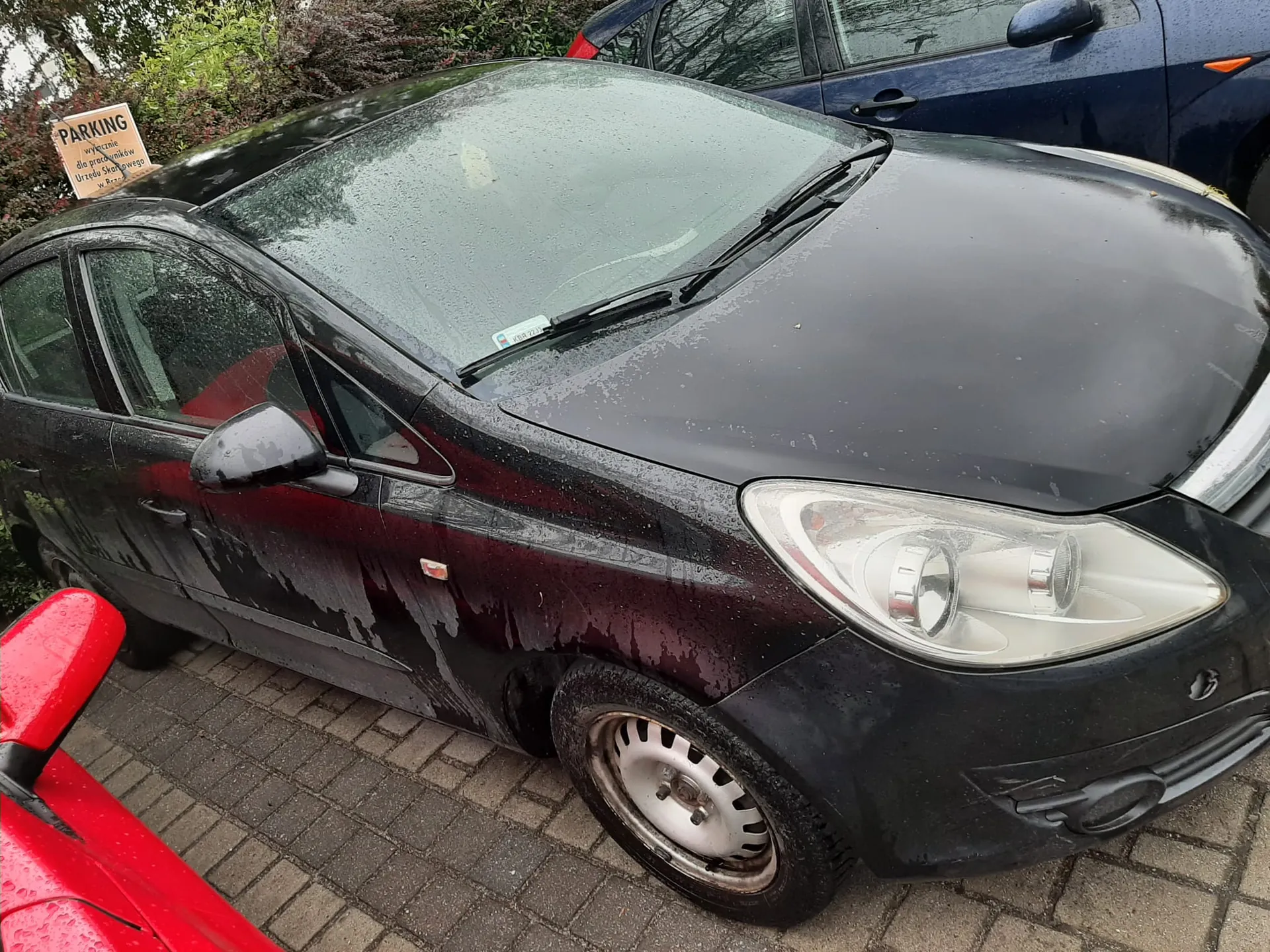 Czarny samochód zaparkowany na brukowanej powierzchni, pokryty kroplami wody. W tle widoczny znak parkingowy z napisem 'PARKING wyłącznie dla pracowników Urzędu Skarbowego w Rzeszowie' oraz fragmenty innych pojazdów: niebieskiego samochodu i czerwonego lusterka bocznego. Tło z zielonymi krzewami.