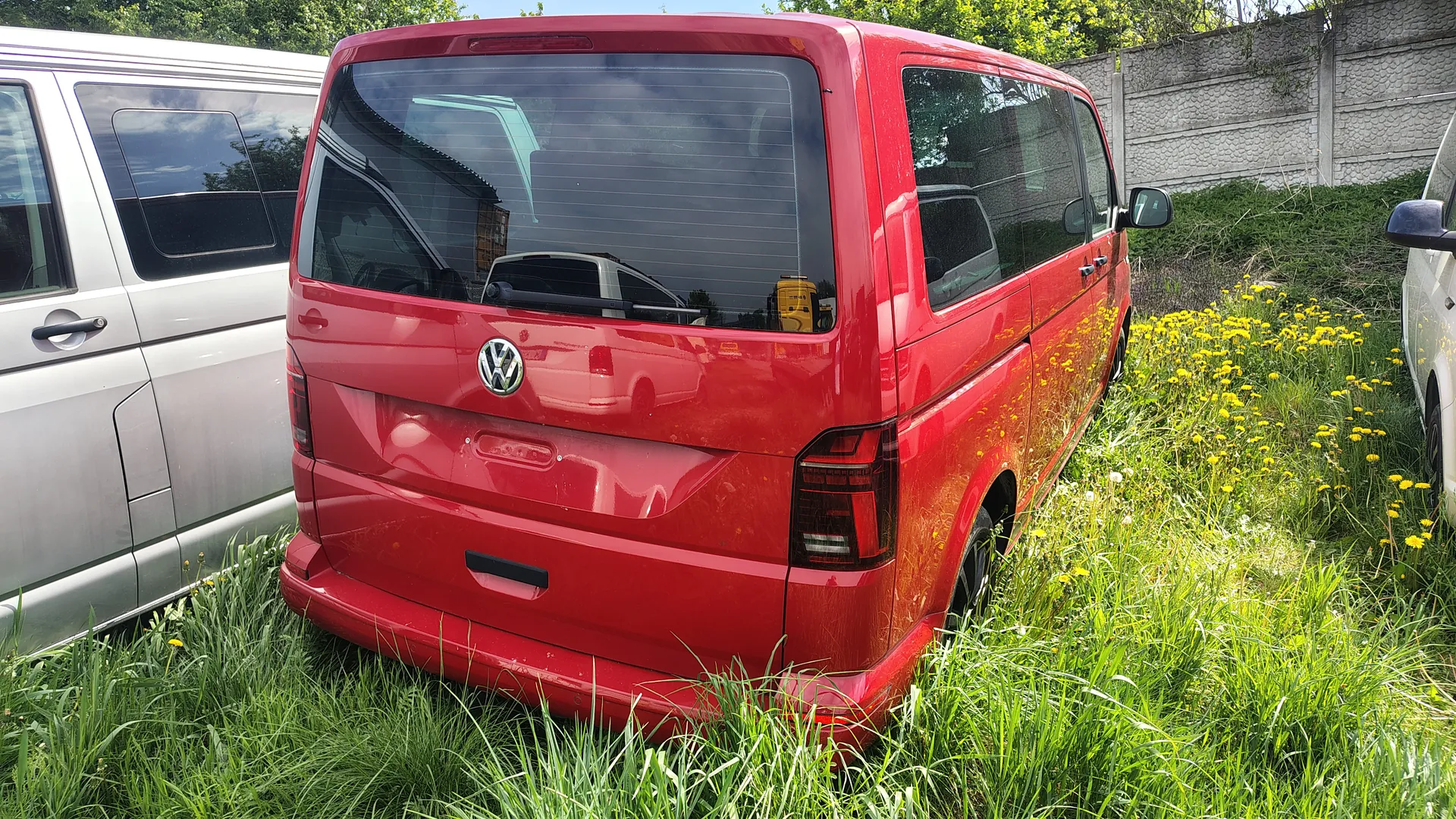 Czerwony samochód dostawczy marki Volkswagen z tyłu, zaparkowany na wysokiej trawie z żółtymi kwiatami. Po lewej stronie widoczny srebrny samochód, po prawej biały samochód. W tle betonowy mur i zielone drzewa. Na tylnej szybie odbijają się inne pojazdy i budynki.