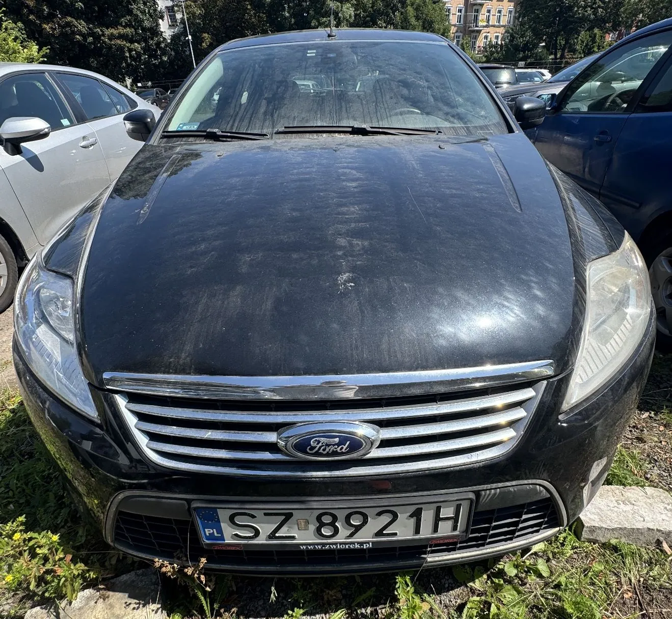 Widok z przodu na czarny samochód marki Ford zaparkowany na trawiastym poboczu. Samochód jest zakurzony, z widocznymi śladami zabrudzeń na masce. Na przednim grillu znajduje się logo Forda, a poniżej tablica rejestracyjna o numerze SZ 8921H z oznaczeniem PL. Po lewej stronie widoczny jest fragment srebrnego samochodu, a po prawej fragment niebieskiego samochodu.