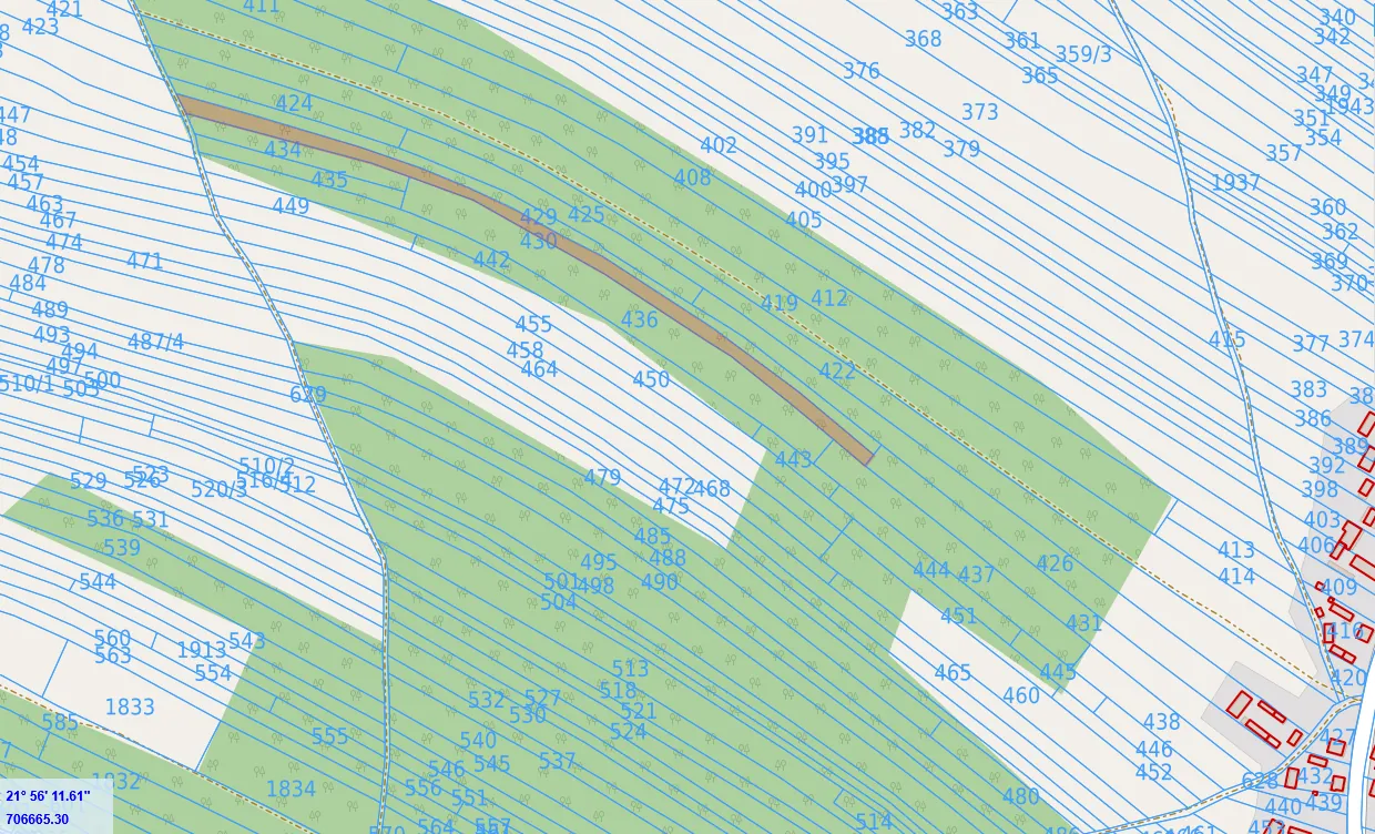 Fragment mapy katastralnej z naniesionymi numerami działek, granicami obszarów oraz liniami pomocniczymi. Mapa przedstawia obszary w kolorze zielonym i białym, przecięte niebieskimi liniami. Widoczne są liczne numery działek, takie jak 424, 435, 449, 455, 479, 513 oraz inne. W lewym dolnym rogu znajduje się zapis współrzędnych geograficznych: 21° 56' 11.61" oraz liczba 706665.30.