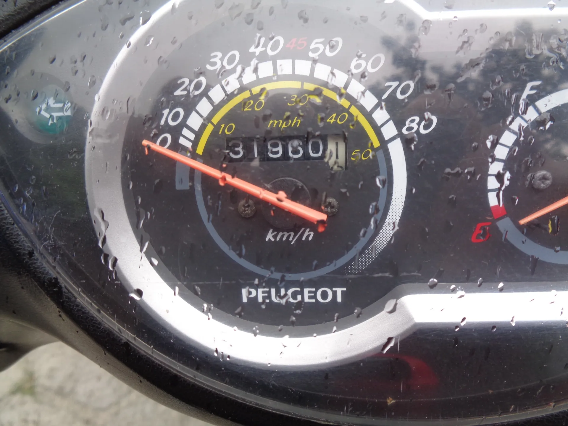 Zbliżenie na deszczowy licznik prędkości pojazdu marki PEUGEOT. Prędkościomierz posiada dwie skale: zewnętrzną w km/h (od 0 do 80) oraz wewnętrzną w mph (od 0 do 50). Wskazówka prędkości znajduje się na pozycji 0. W centralnej części widoczny jest licznik kilometrów z wartością 31960. Na powierzchni tarczy i obudowie widoczne są liczne krople wody.