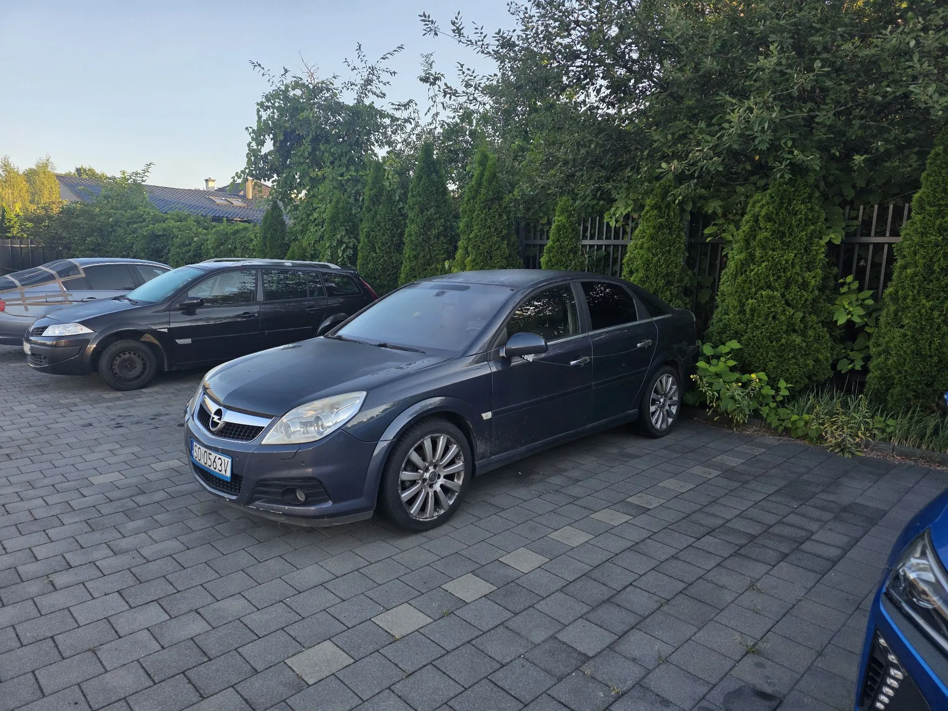 Parking wyłożony szarą kostką brukową, na którym zaparkowane są trzy samochody. Na pierwszym planie znajduje się ciemnoniebieski sedan marki Opel z tablicą rejestracyjną GD 0563V. Za nim stoi czarny samochód typu kombi, a w tle srebrny samochód. W tle widoczny jest gęsty żywopłot z wysokich, smukłych tuj oraz ciemny płot.