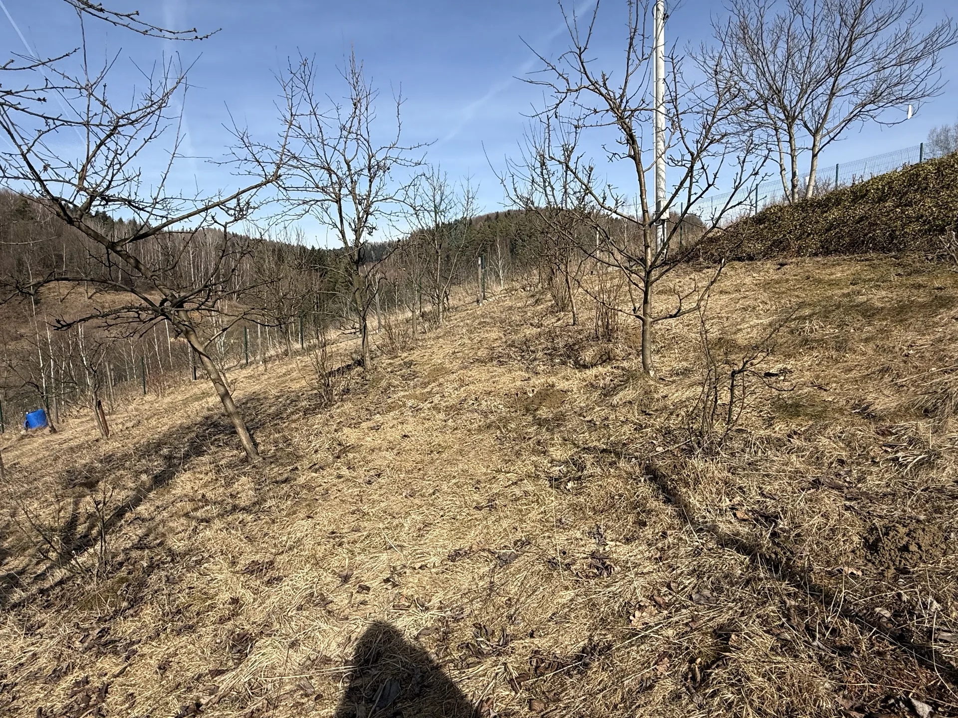 Działka 0,48 ha Paszyn, gmina Chełmiec - Licytacja w Nowym Sączu - zdjęcie 3