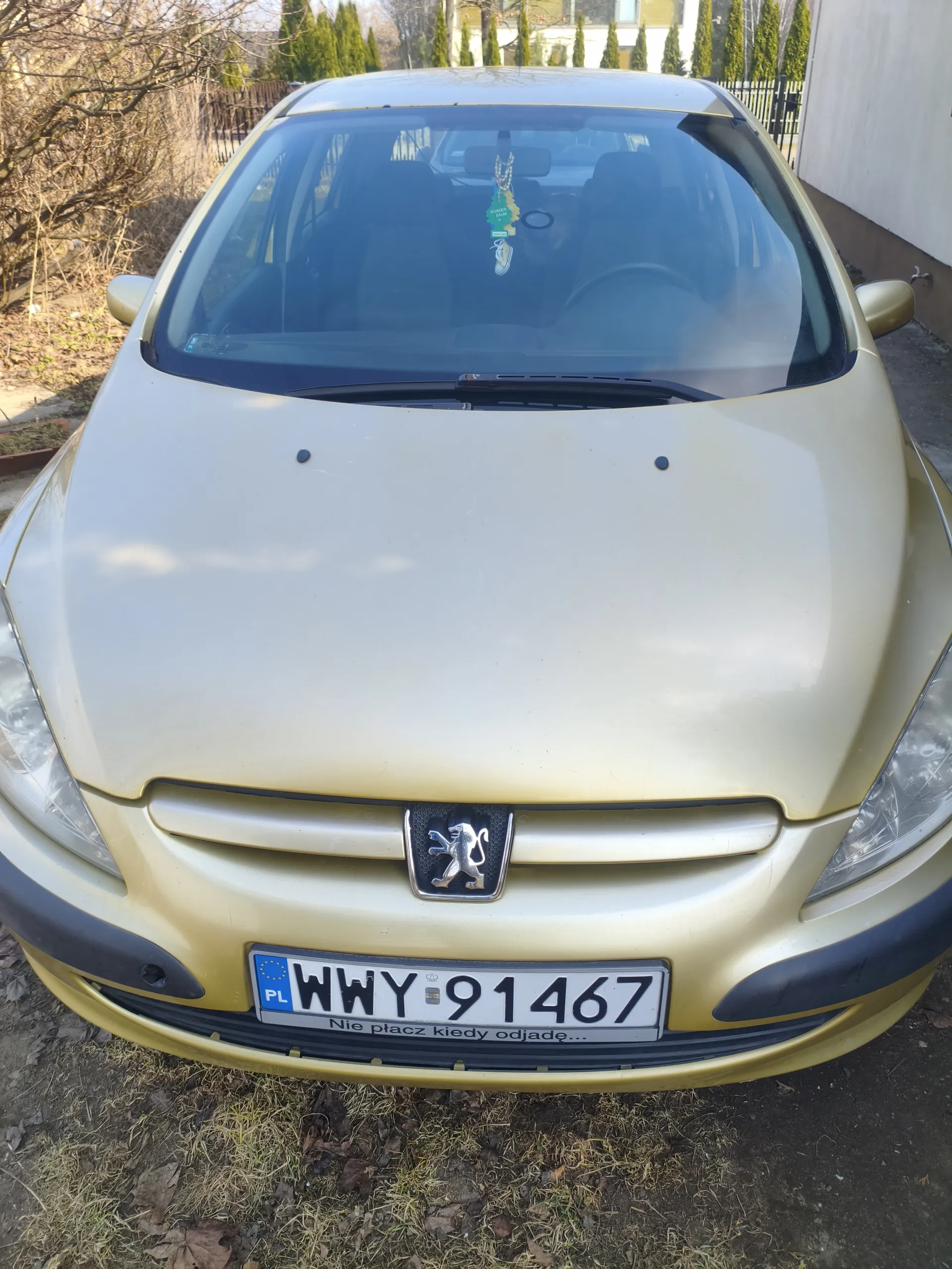 Złoty samochód marki Peugeot z przodu, z widocznym logo lwa na atrapie chłodnicy. Tablica rejestracyjna z polskim kodem PL i numerem WWY 91467, poniżej napisu Nie płacz kiedy odjadę... Na przedniej szybie wiszą ozdoby, w tym zielona figurka i okrągły przedmiot. Tło: suche krzewy, drzewa, ogrodzenie i budynek. Samochód stoi na trawie z suchymi liśćmi.