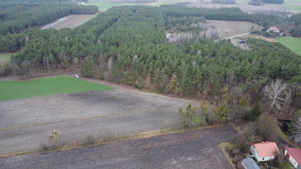 Widok z lotu ptaka na krajobraz wiejski. W centralnej części znajduje się gęsty las iglasty. Przed lasem rozciągają się pola uprawne: jedno zielone, drugie w kolorze szaro-brązowym. Po prawej stronie widoczne są domy z czerwonymi dachami oraz pojedyncze drzewa liściaste bez liści. W oddali widać kolejne pasy lasów i pól pod zachmurzonym niebem.