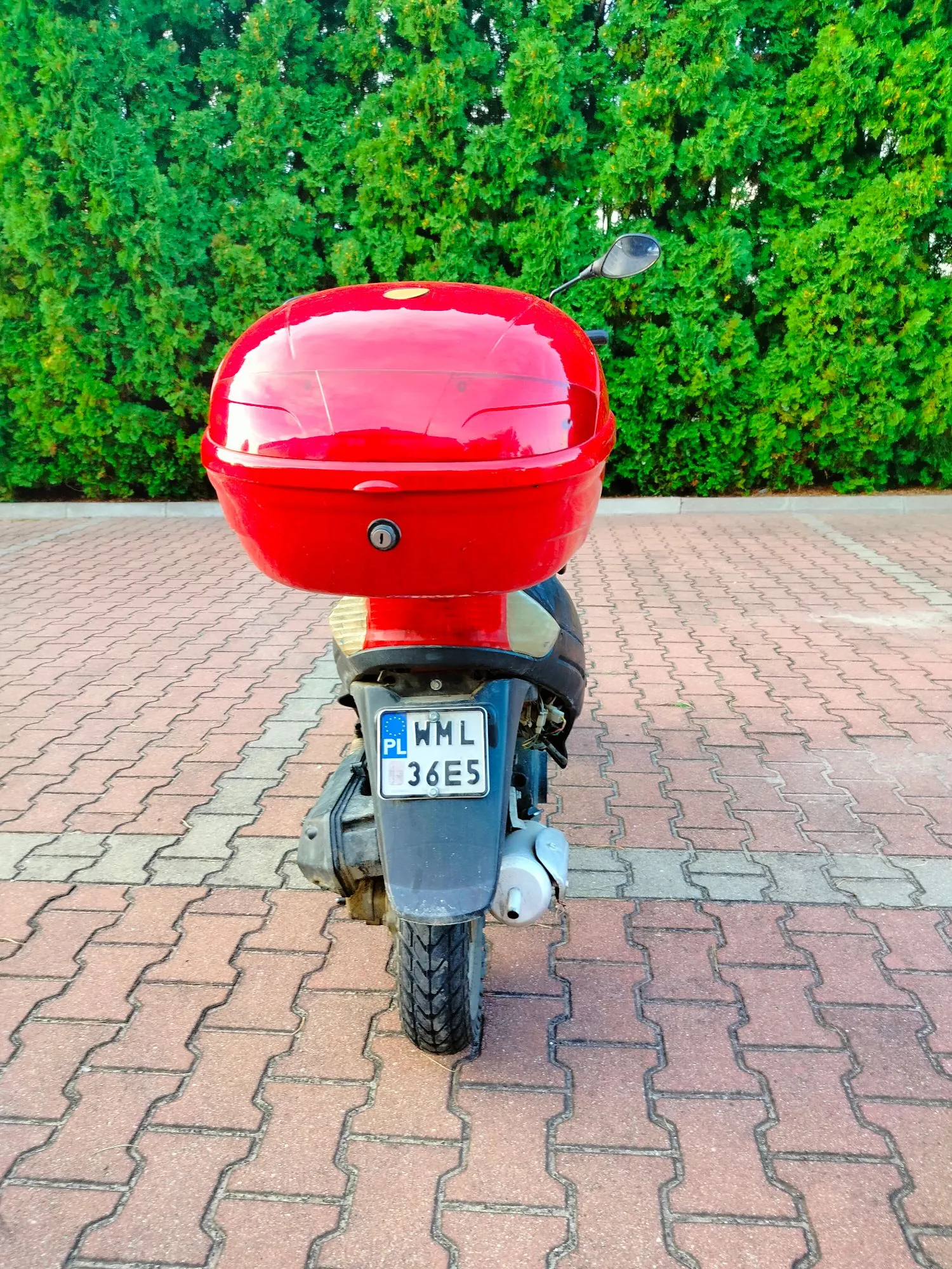 Tylny widok czerwonego skutera zaparkowanego na kostce brukowej na tle zielonego żywopłotu. Skuter posiada duży, czerwony kufer zamykany na klucz. Tablica rejestracyjna ma oznaczenie PL oraz numer WML 36E5.