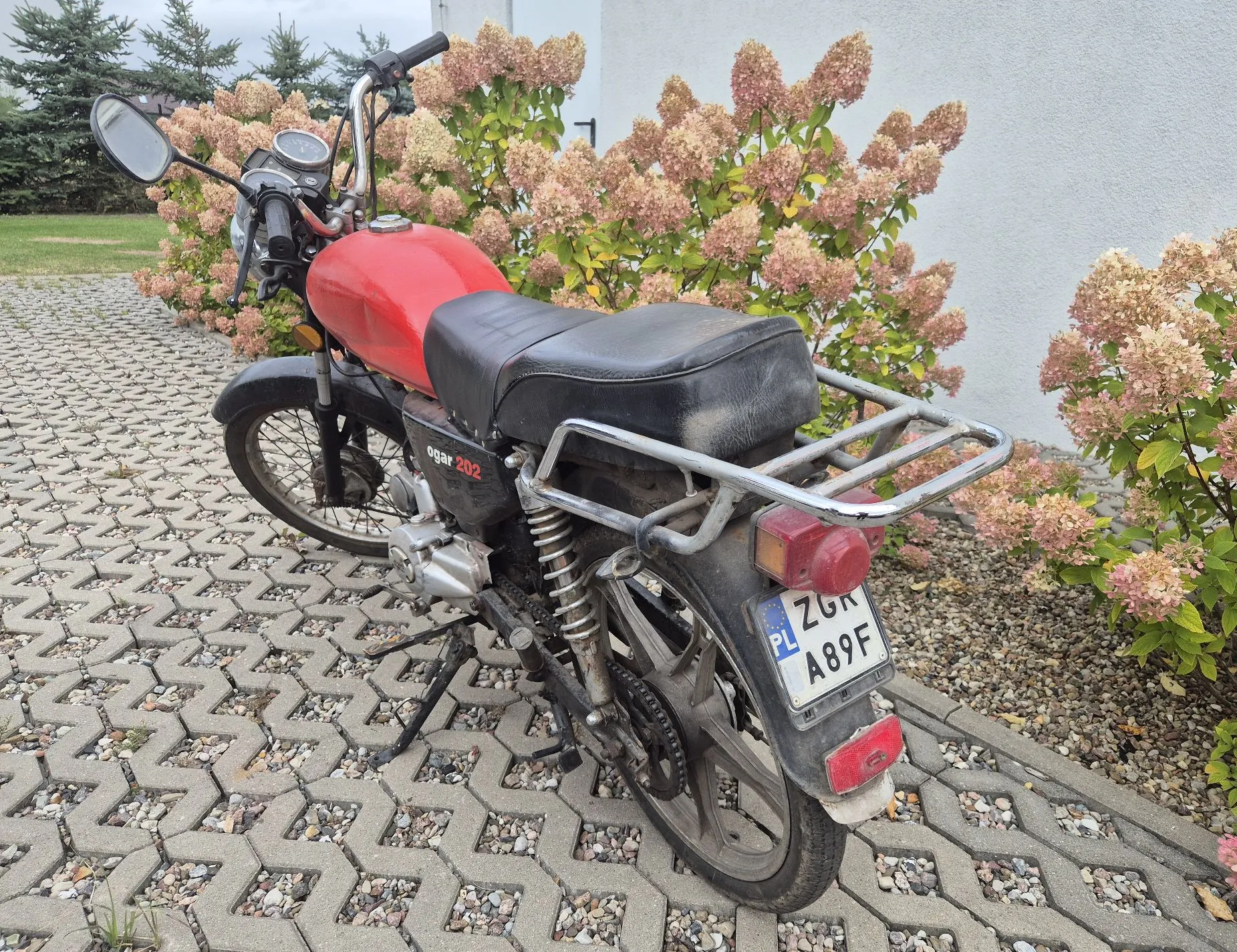 Czerwony motocykl marki Ogar 202 zaparkowany na kostce brukowej. Pojazd ma czarne siedzenie, srebrny bagażnik z tyłu oraz tablicę rejestracyjną o numerze ZGR A89F. W tle widoczne są krzewy hortensji z różowymi kwiatami oraz biała ściana budynku.