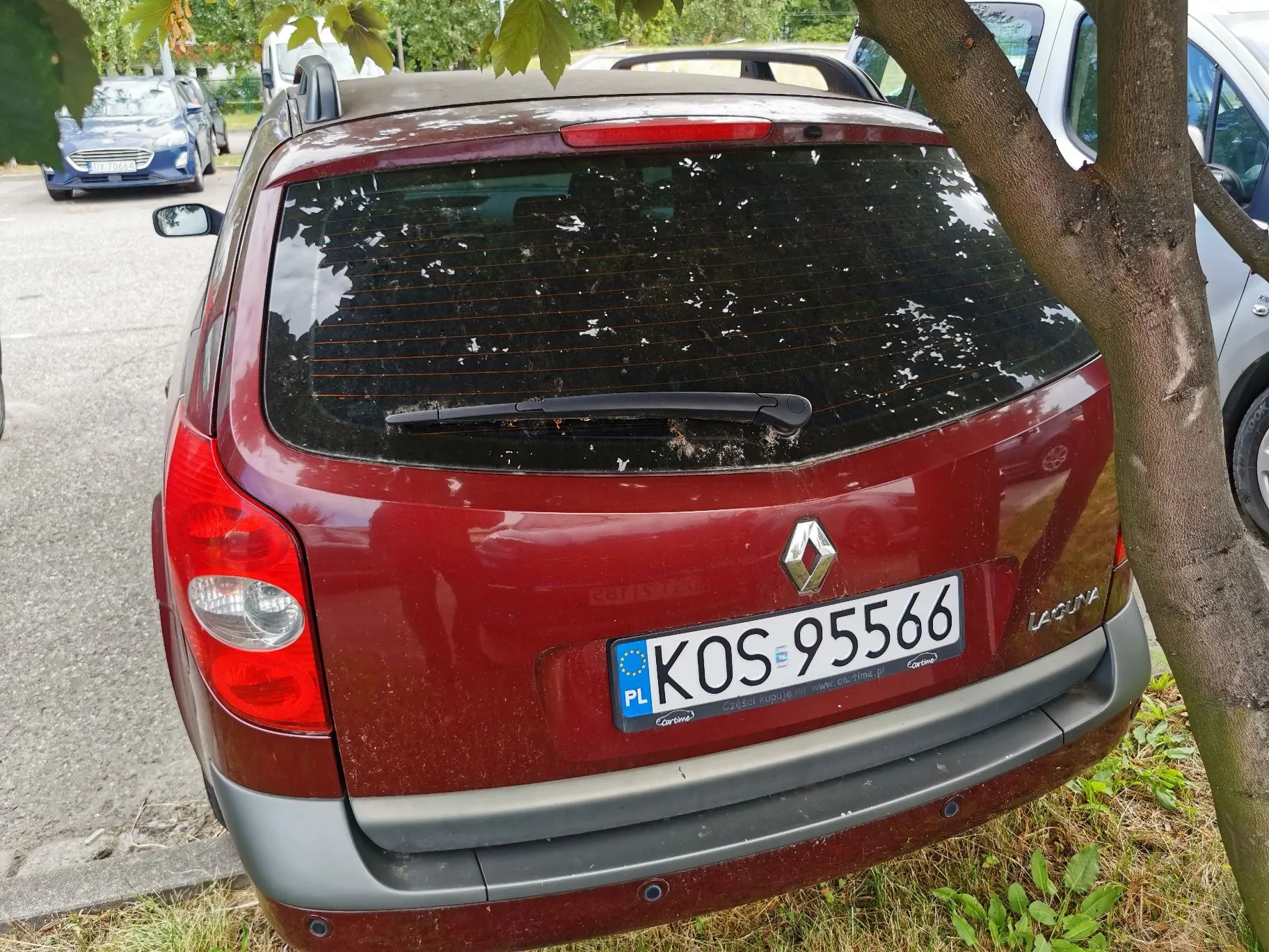Tylny widok czerwonego samochodu marki Renault Laguna zaparkowanego obok drzewa. Samochód jest zabrudzony pyłkiem i drobnymi osadami na tylnej szybie i karoserii. Widoczna jest polska tablica rejestracyjna o numerze KOS 95566.