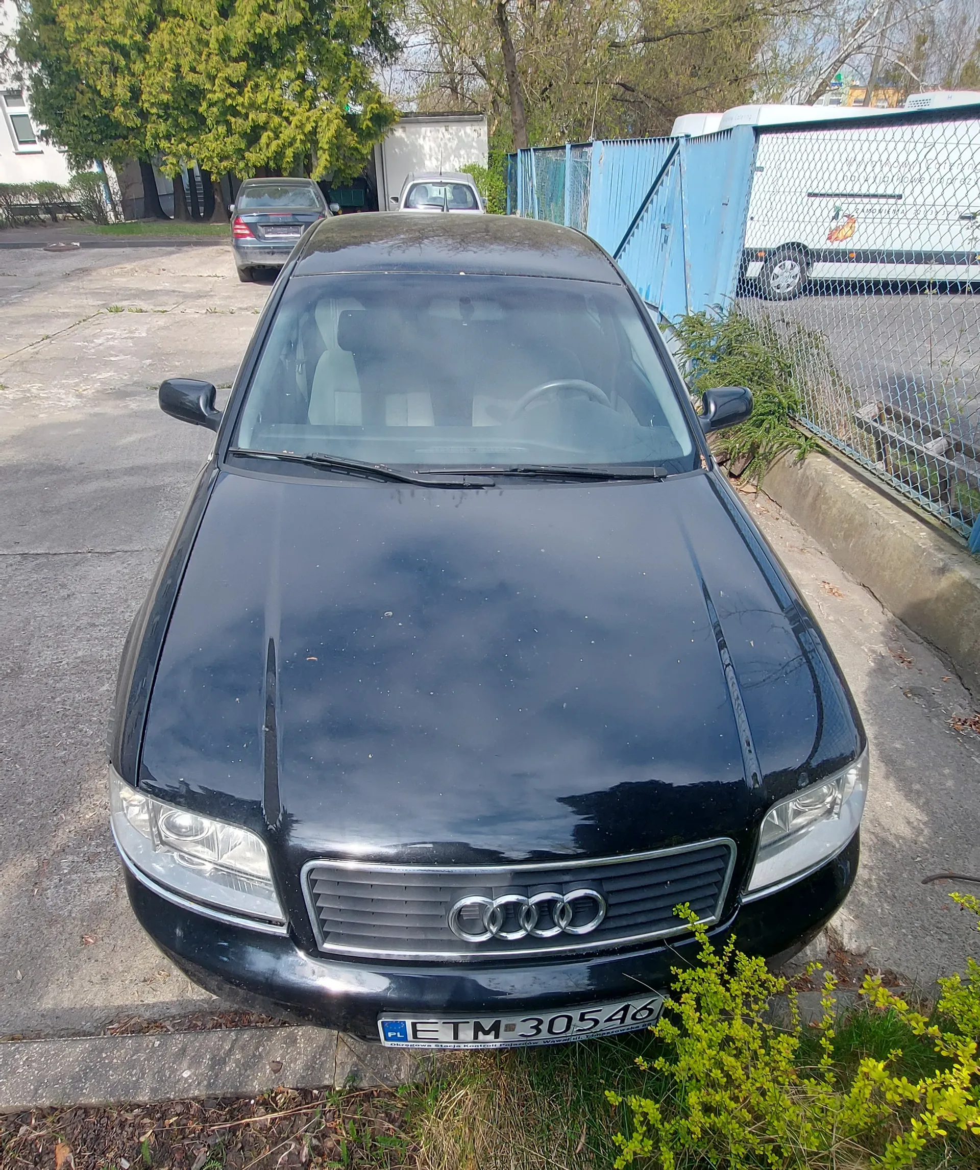 Czarny samochód marki Audi zaparkowany na betonowej powierzchni. Widoczna tablica rejestracyjna z napisem ETM 30546 oraz flagą PL. W tle inne pojazdy, niebieskie ogrodzenie, drzewa i budynek. Na pierwszym planie zielone krzewy. Wnętrze samochodu z jasnymi siedzeniami jest częściowo widoczne przez przednią szybę.