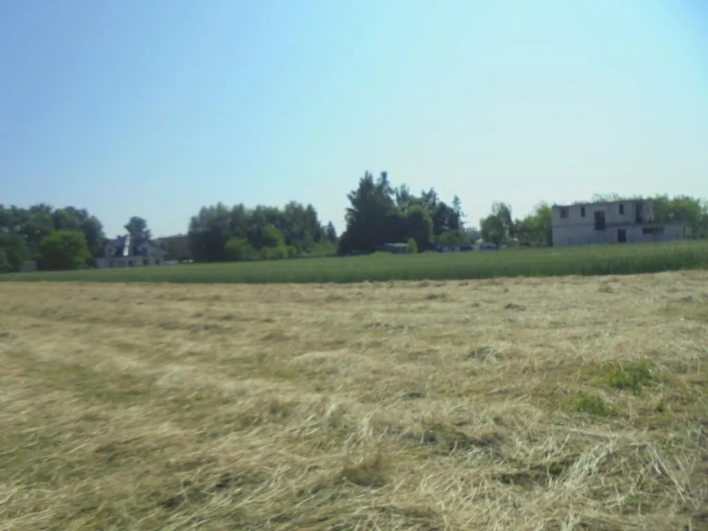 Pole z suchą trawą na pierwszym planie, za nim zielone pole uprawne. W tle drzewa, domy i nieukończony budynek. Jasne niebo bez chmur.