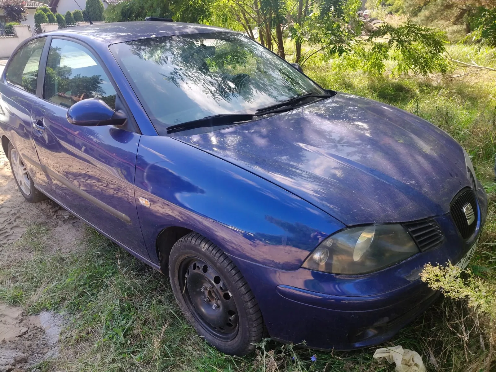 Niebieski samochód osobowy marki Seat zaparkowany na trawiastym terenie obok piaszczystej drogi. Pojazd jest widoczny z przodu i z boku, ma widoczne zmatowienia lakieru na masce oraz zmatowione reflektory. W tle widać zielone drzewa i krzewy.