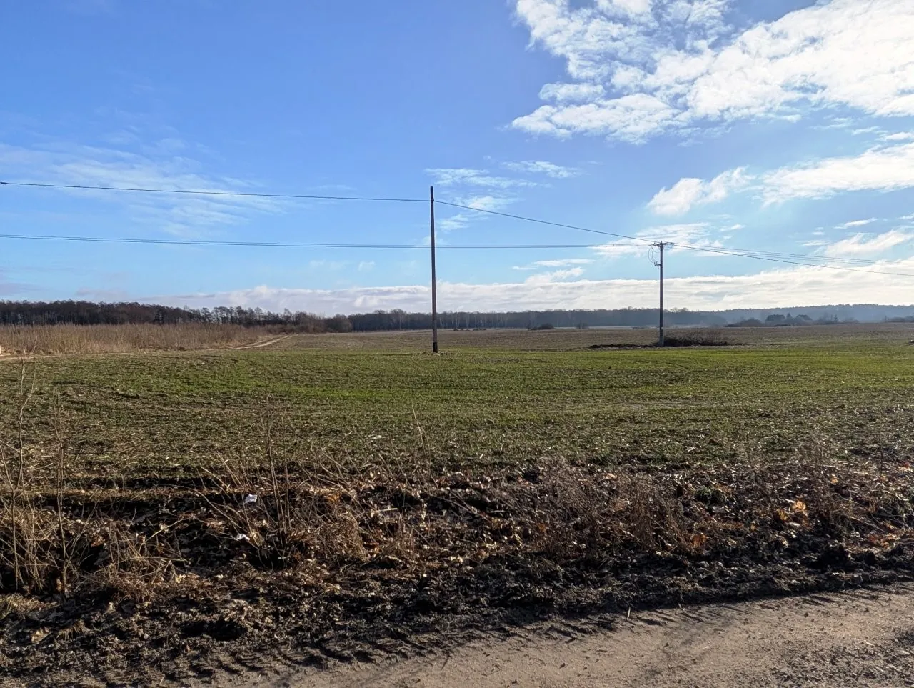 Szeroki widok na otwarte pole uprawne pod jasnoniebieskim niebem z rozproszonymi białymi chmurami. W oddali widoczny jest pas drzew i las. Przez środek krajobrazu przebiegają linie napowietrzne wsparte na dwóch drewnianych słupach elektrycznych. Na pierwszym planie znajduje się nieutwardzona droga oraz pas wyschniętej, brązowej roślinności i ziemi.