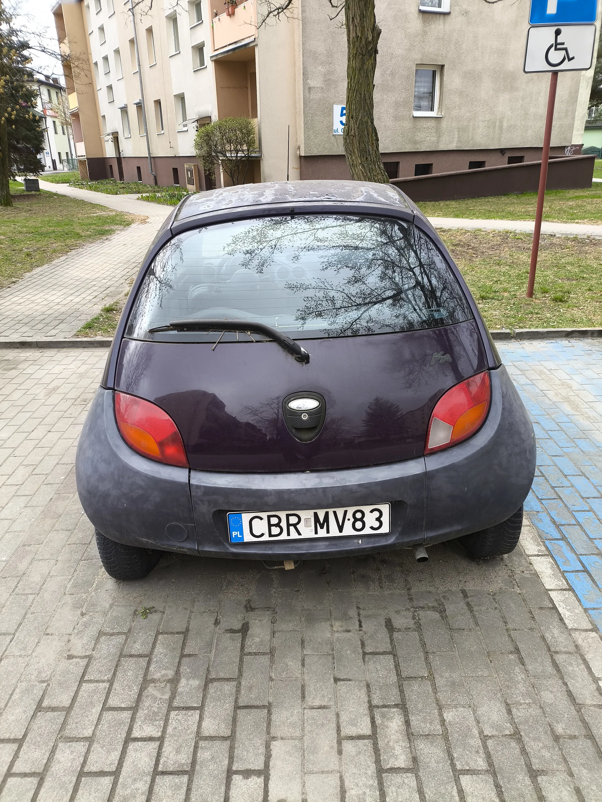Zdjęcie przedstawia tył ciemnofioletowego samochodu osobowego zaparkowanego na brukowanej powierzchni. Na samochodzie widoczny jest biały tabliczka rejestracyjna z napisem CBR MV83 oraz niebieskim polskim flagiem z literą PL. W tle znajdują się bloki mieszkalne, drzewa, chodnik oraz znak parkingowy dla osób niepełnosprawnych z symbolem wózka inwalidzkiego. Samochód ma czerwone światła tylna i czarny wycieraczka na tylnej szybie.