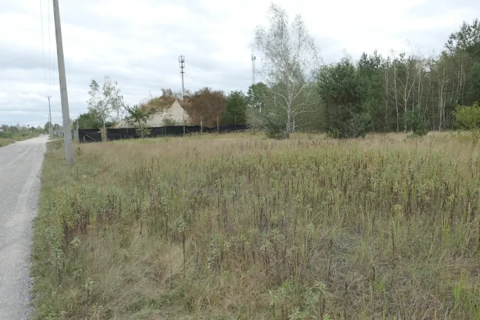 Krajobraz z nieutwardzoną drogą po lewej stronie, prowadzącą w głąb obrazu. Obok drogi stoi betonowy słup energetyczny. W centrum znajduje się rozległy teren z suchą, niską roślinnością i trawą. W tle widoczny jest nasyp piasku lub żwiru ogrodzony czarną siatką, kilka drzew liściastych i iglastych oraz maszt telekomunikacyjny na tle zachmurzonego nieba.